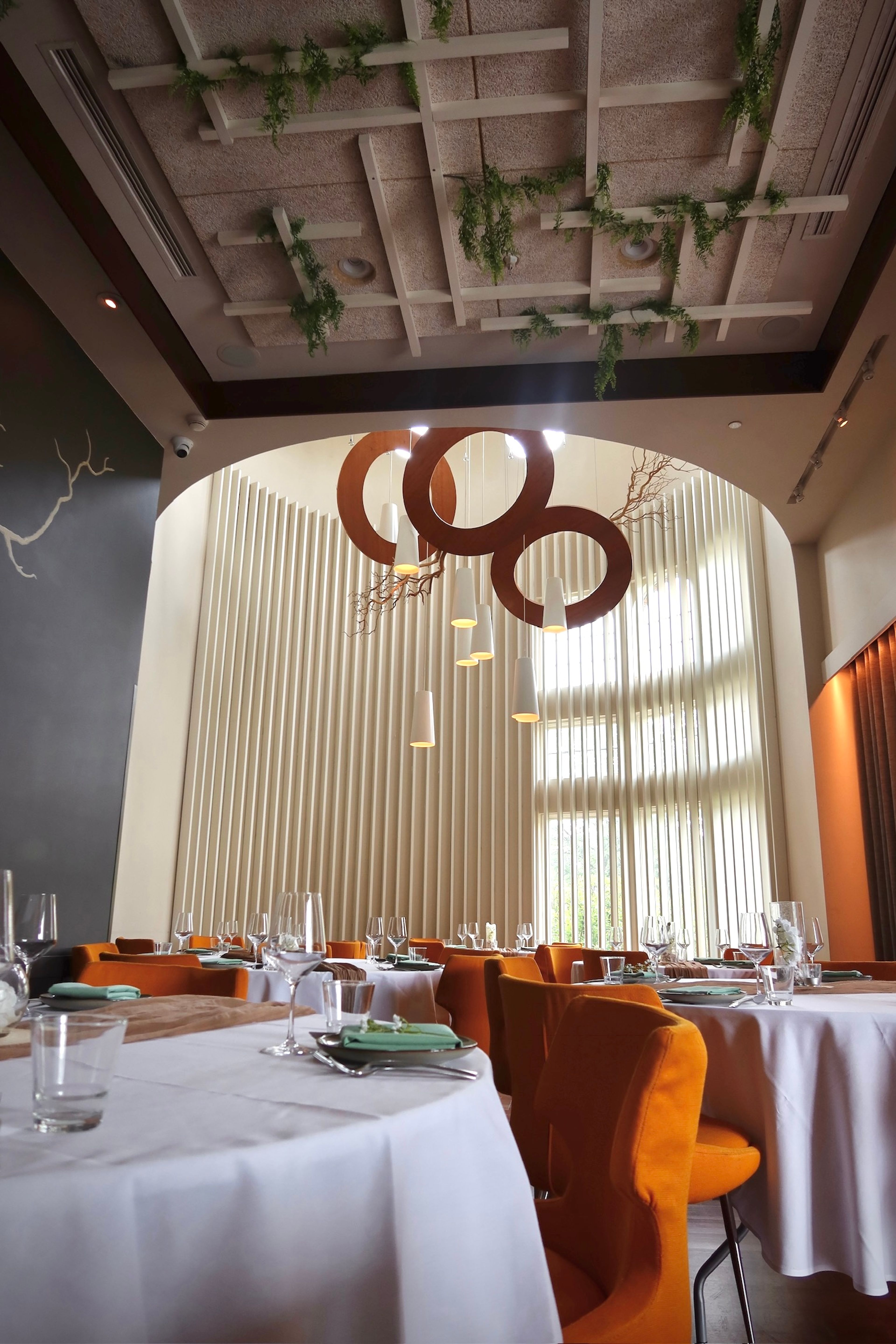 Cover photo of Uproot Restaurant