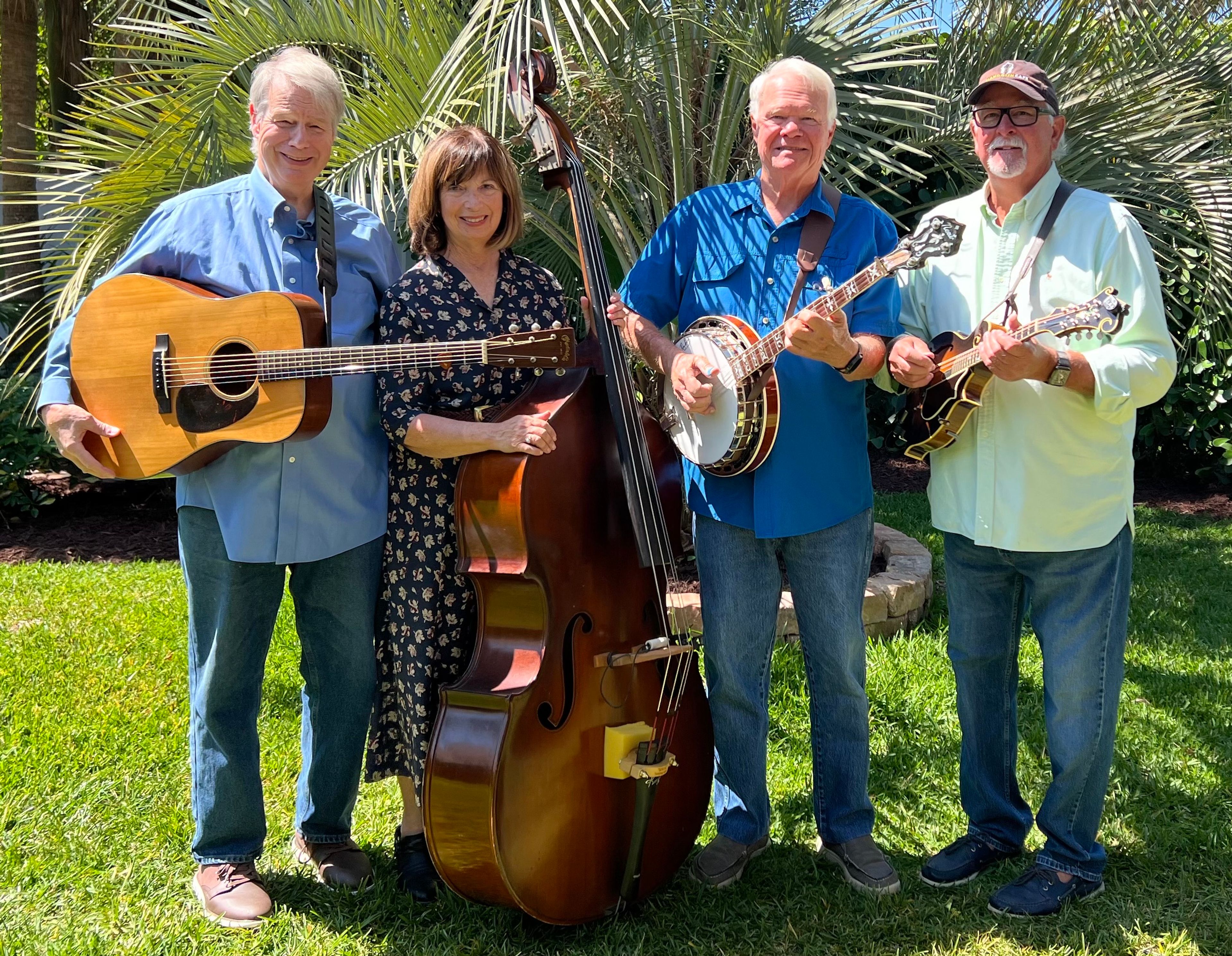 Cover photo of Cadence Hollow Band