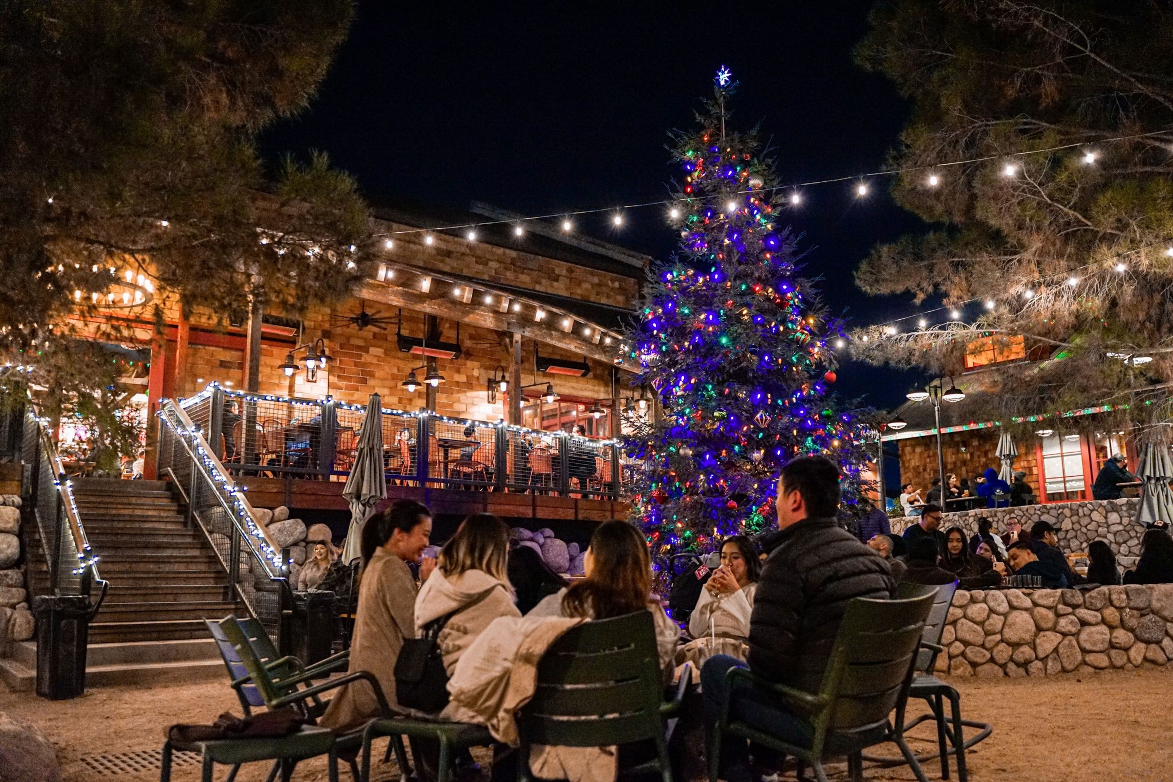 Cover photo of Campsite Brewing Company