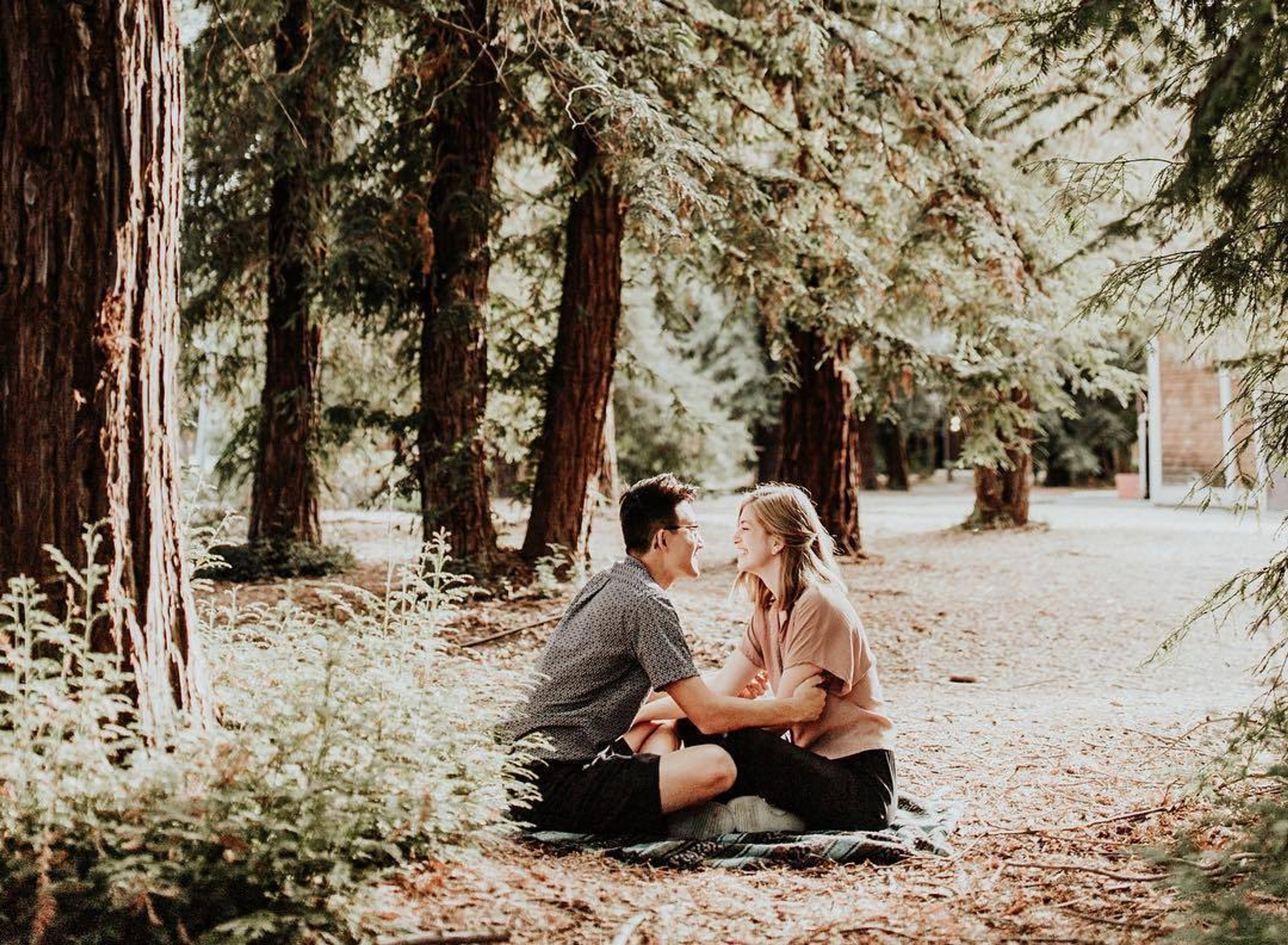 Cover photo of Poema Collective