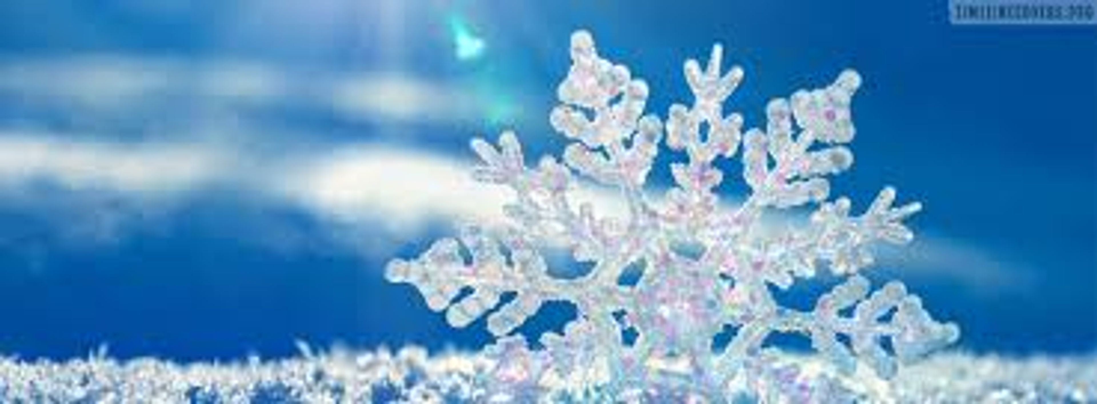 Cover photo of Enchanted Festivities