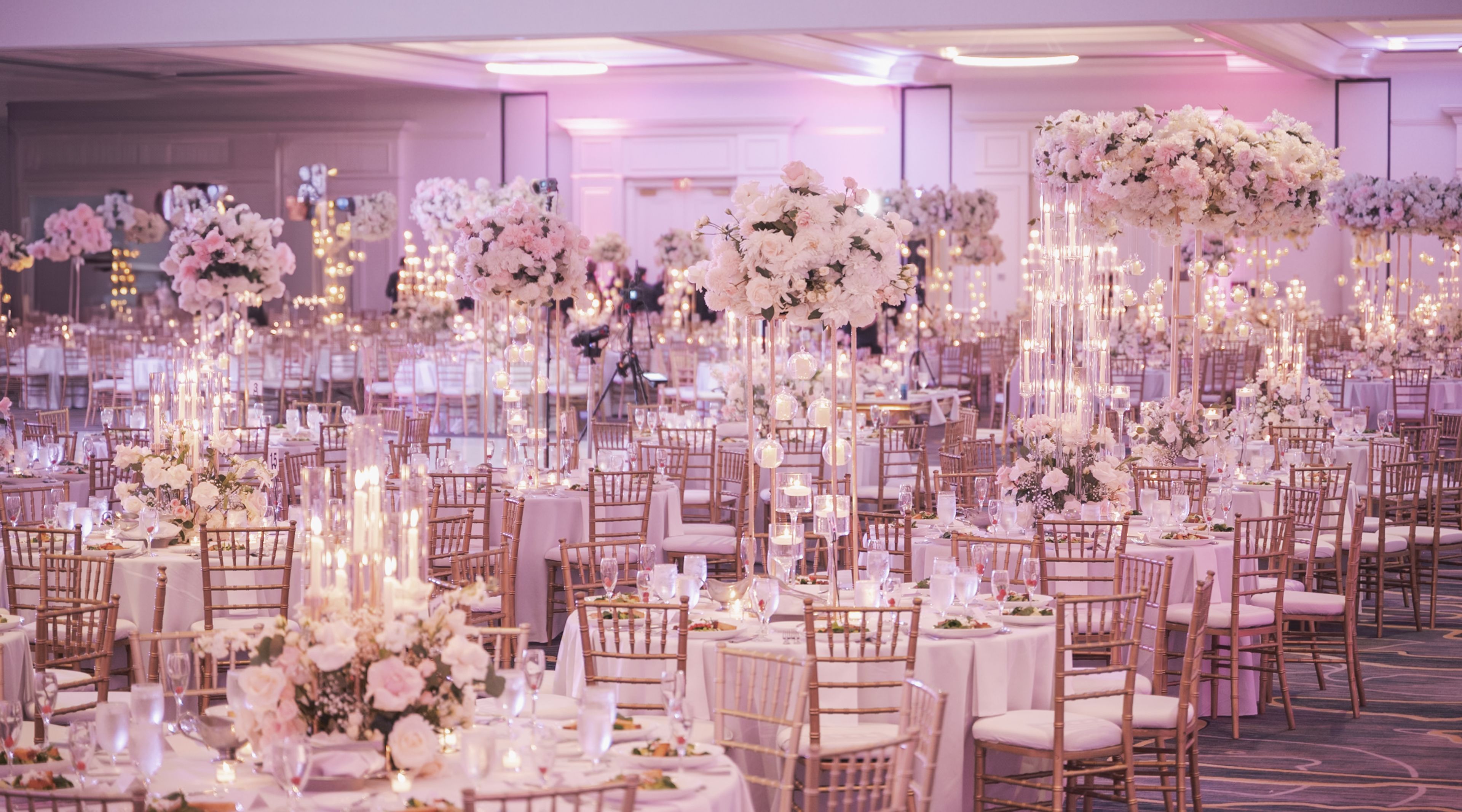 Cover photo of JW Marriott & Tampa Marriott Water Street