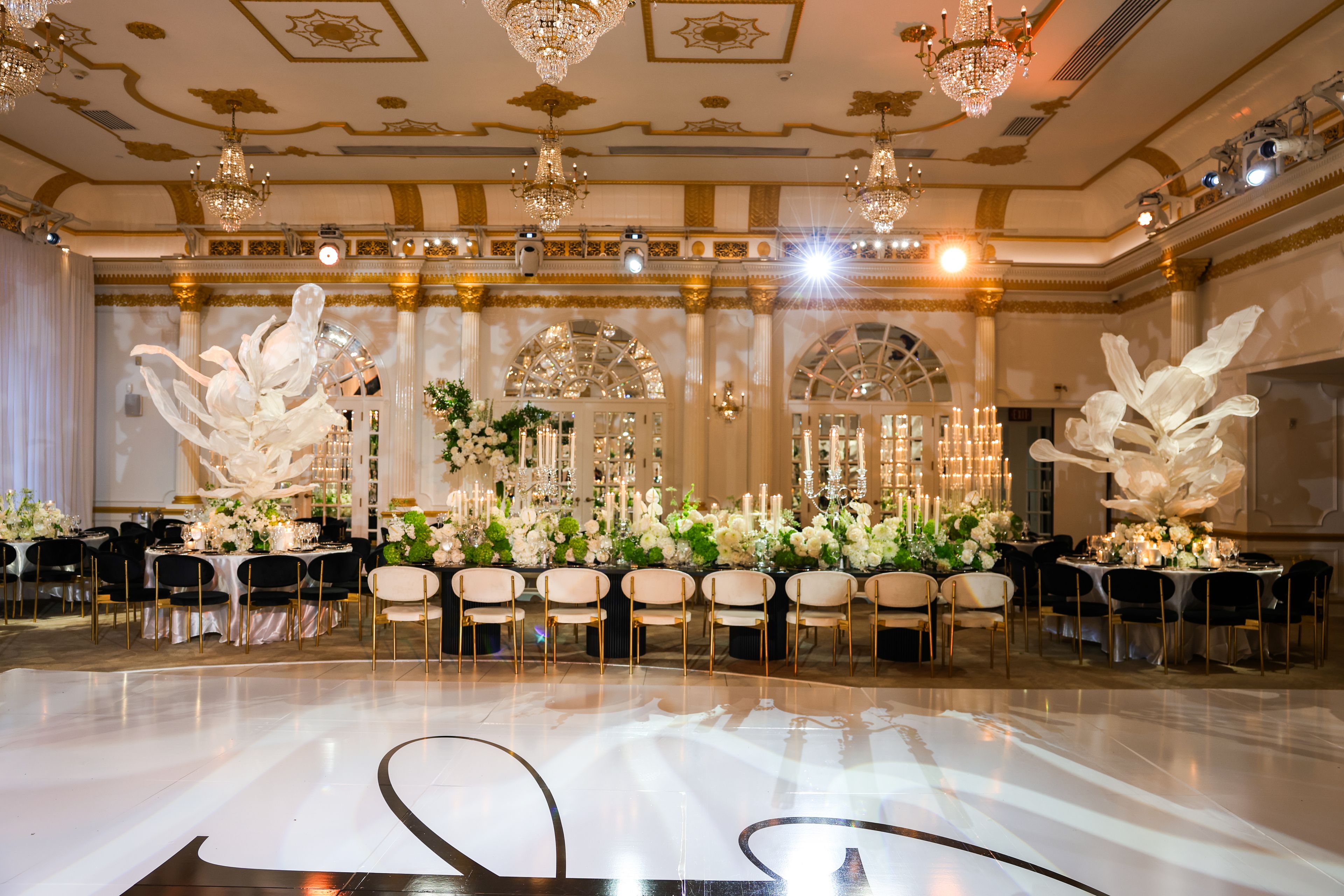 Cover photo of Social Fusion Studio | Content Creator