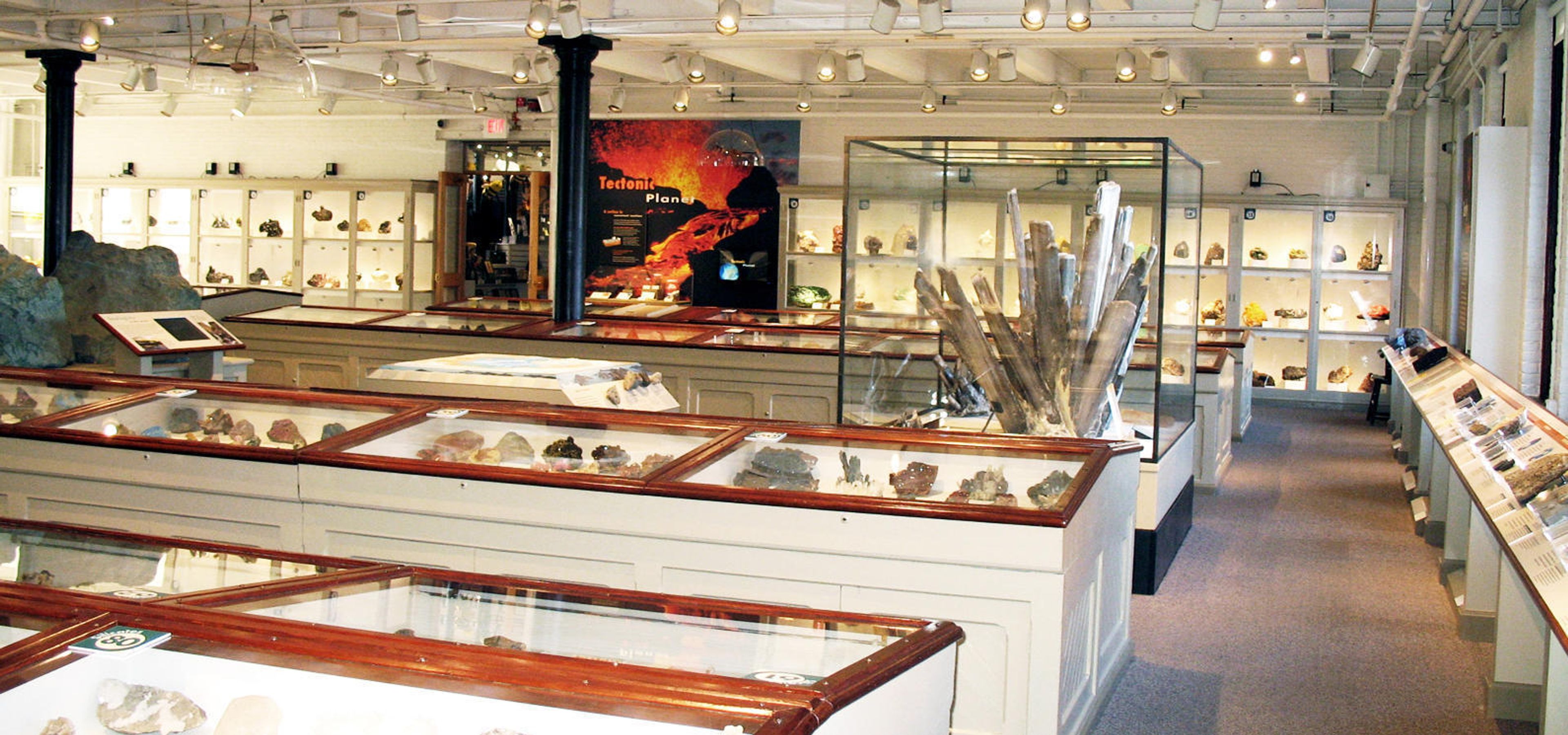 Cover photo of Harvard Museum of Natural History