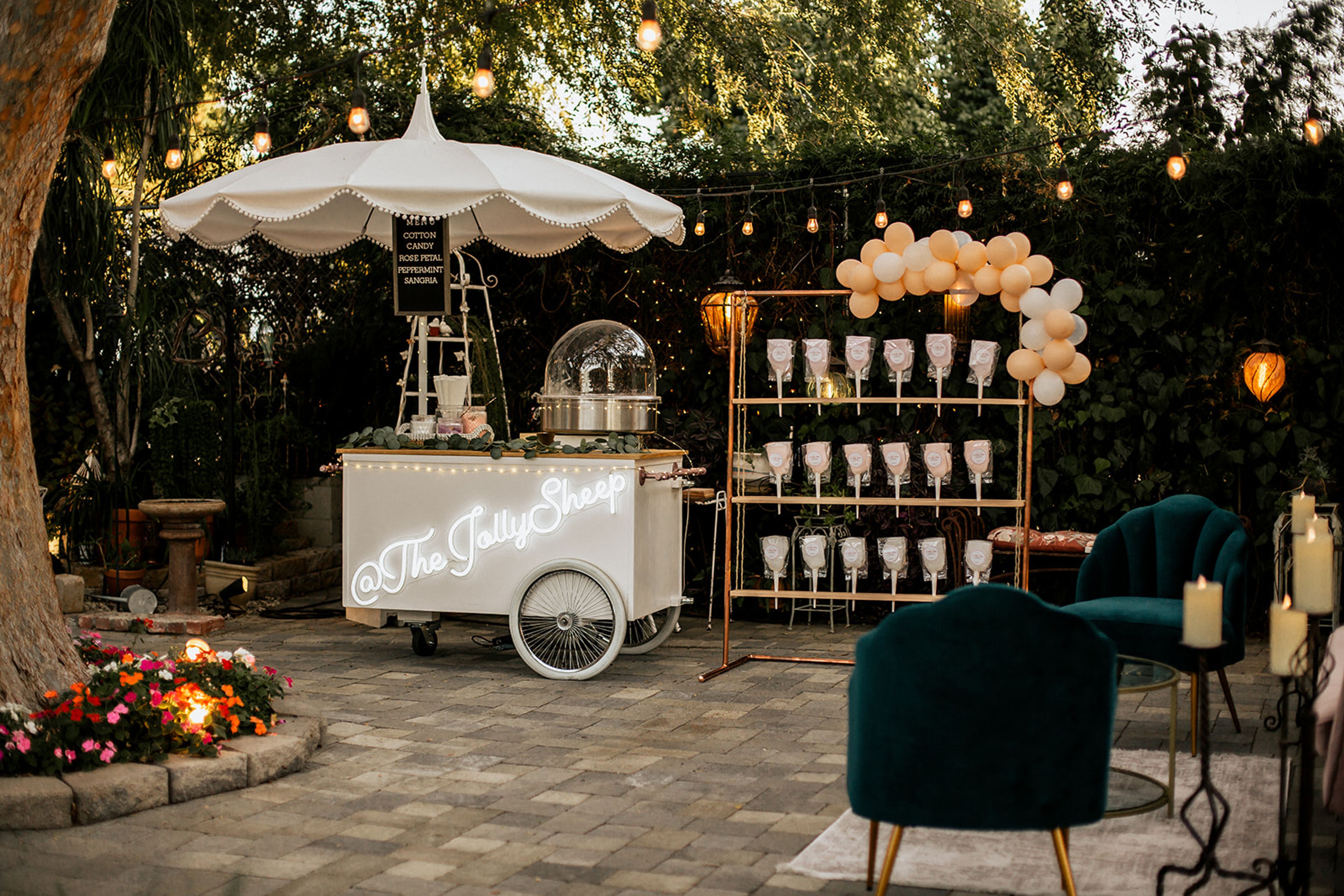 Cover photo of The Jolly Sheep