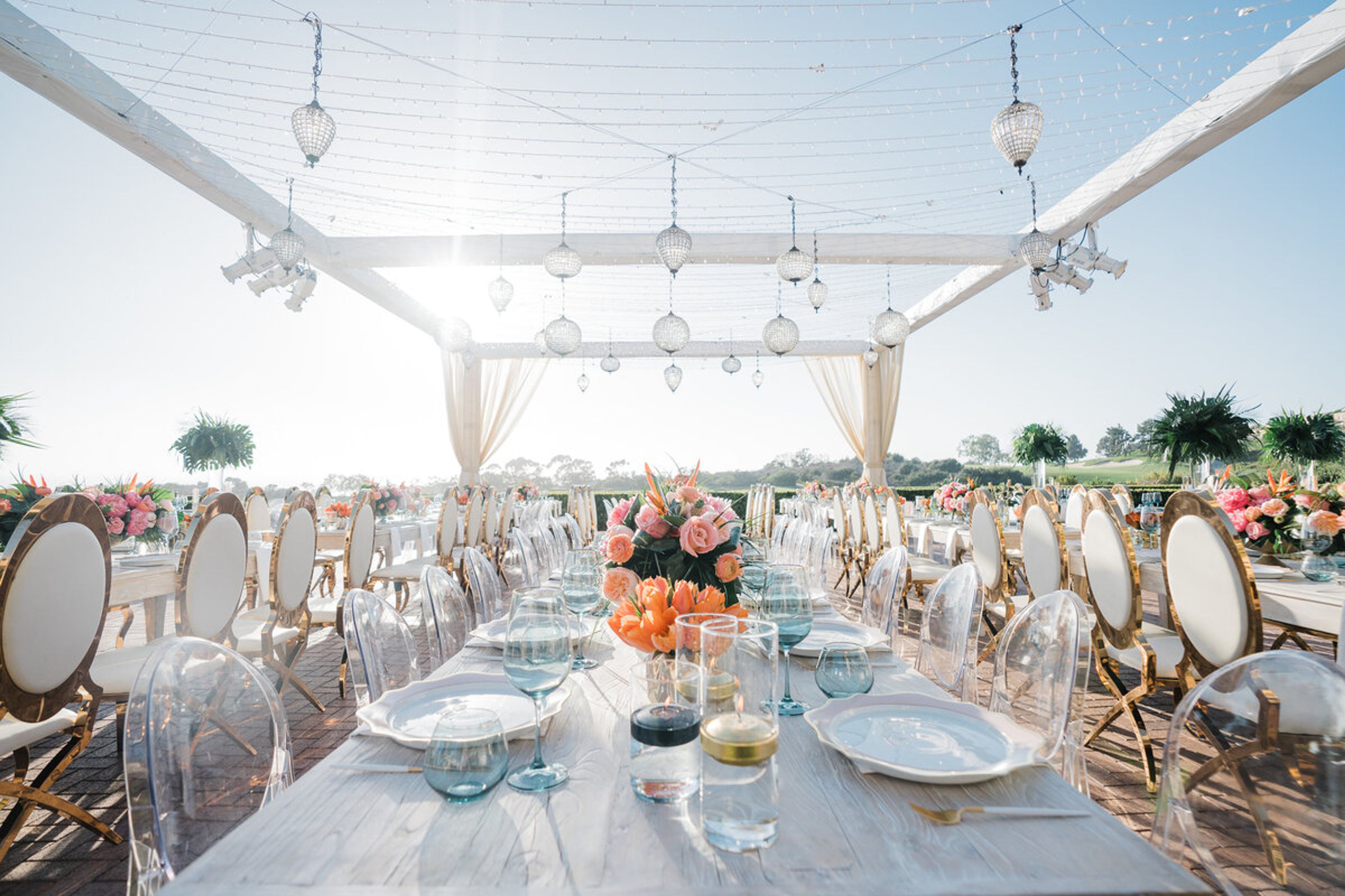 Cover photo of BP Collective