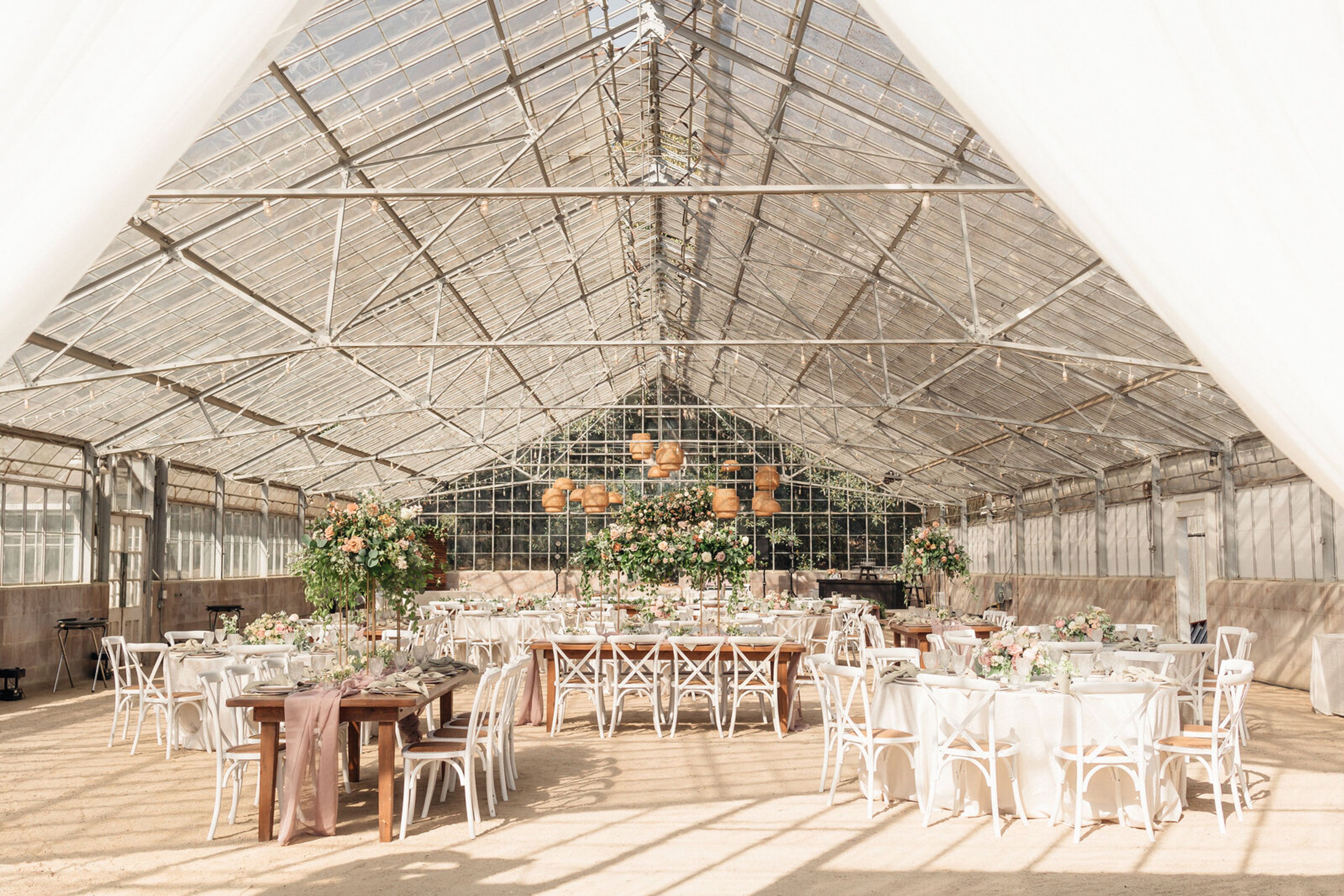 Cover photo of BP Collective