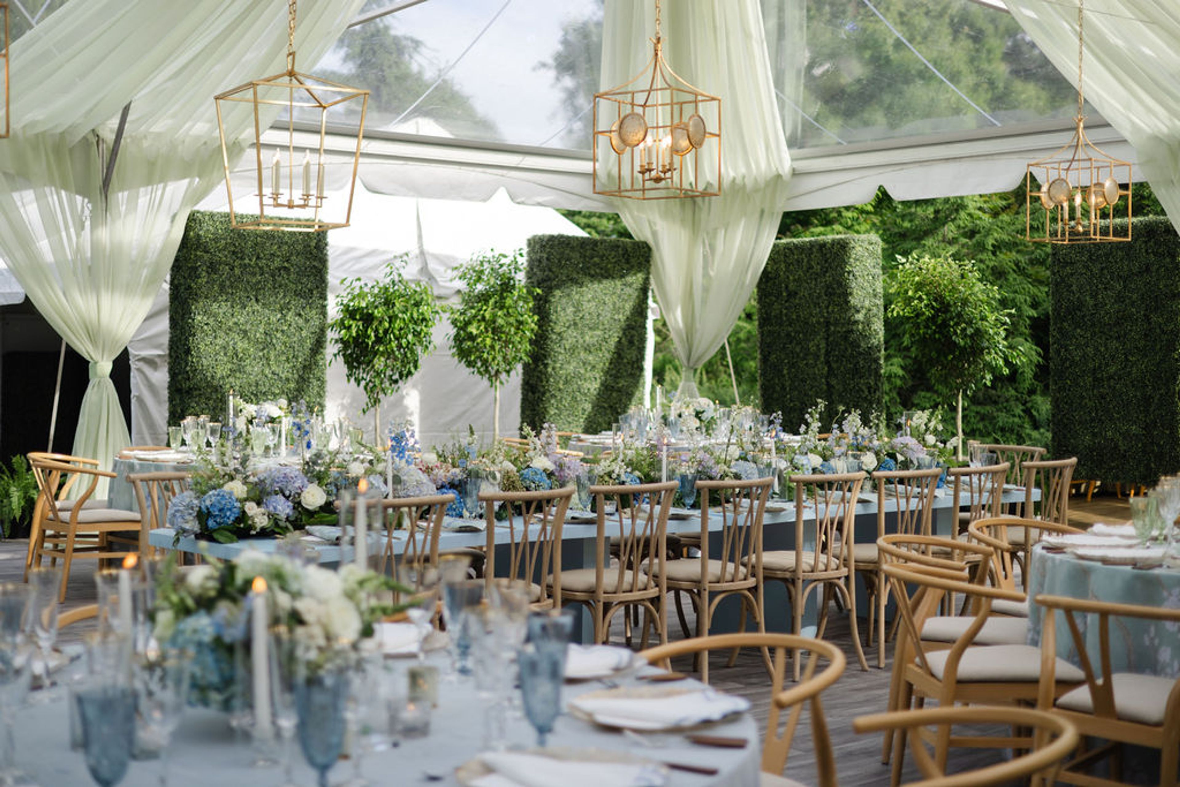 Cover photo of The 1978 Collection