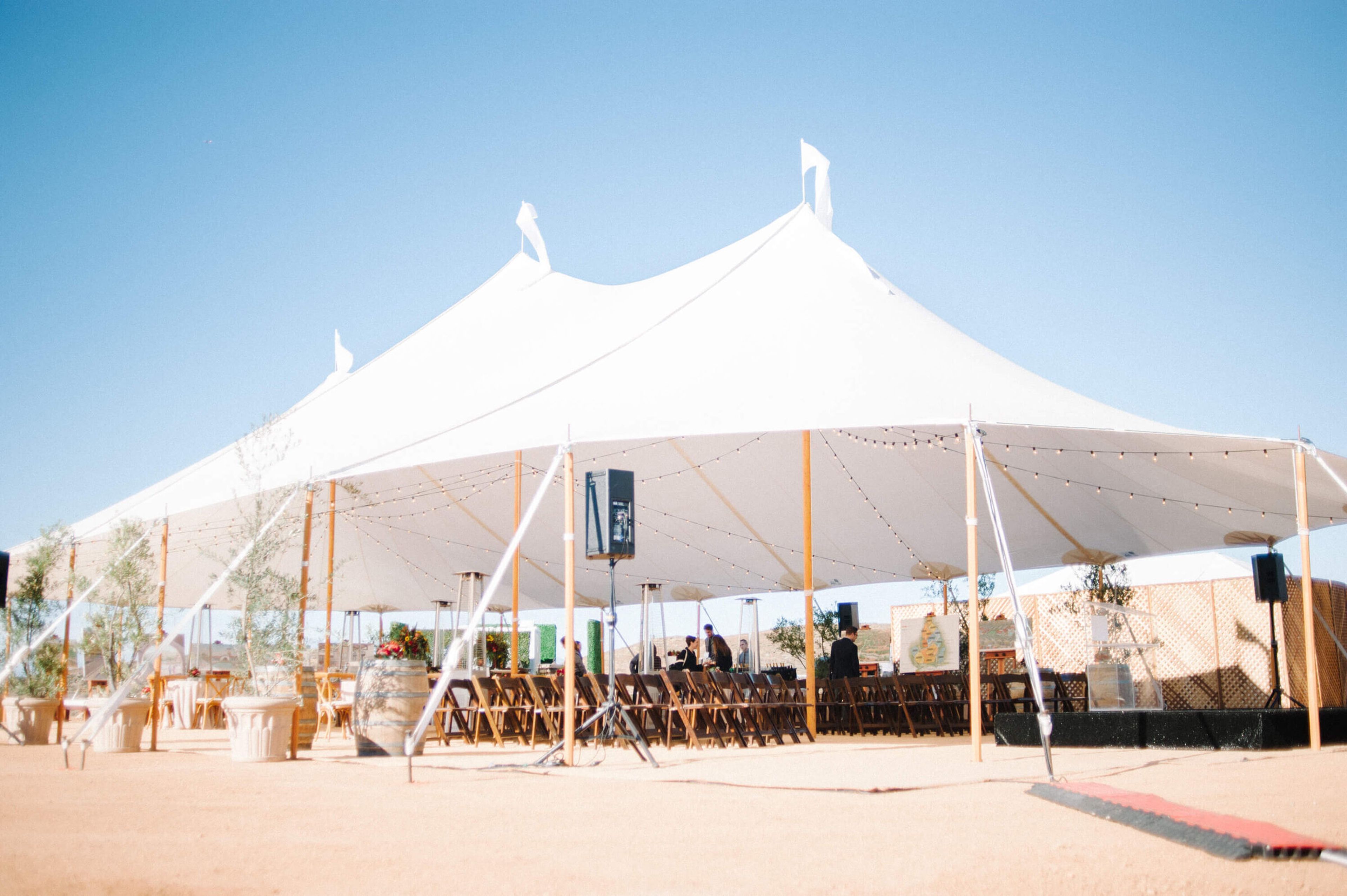 Cover photo of Patrician Company