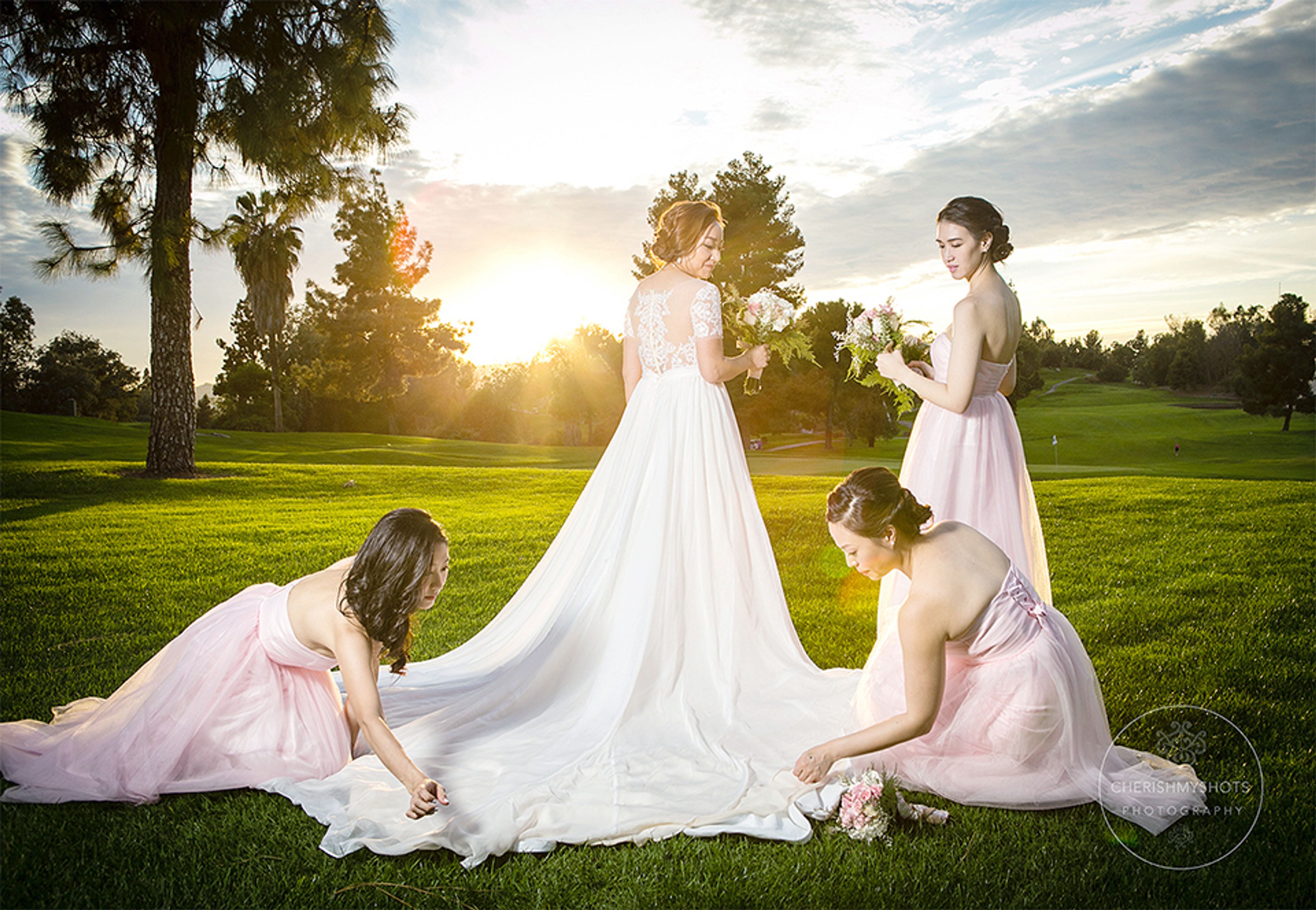 Cover photo of cherishmyshots photography