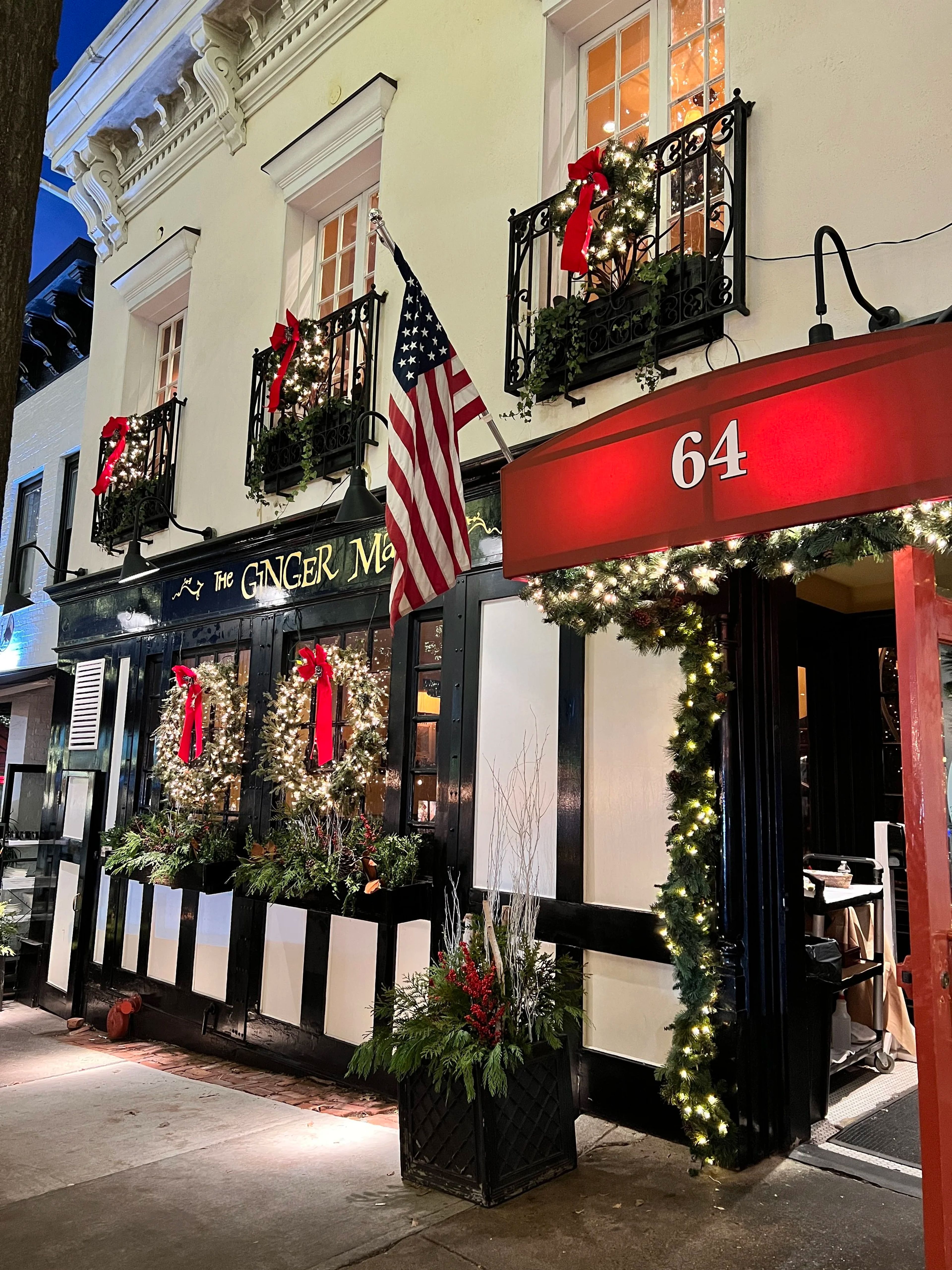 Cover photo of The Ginger Man