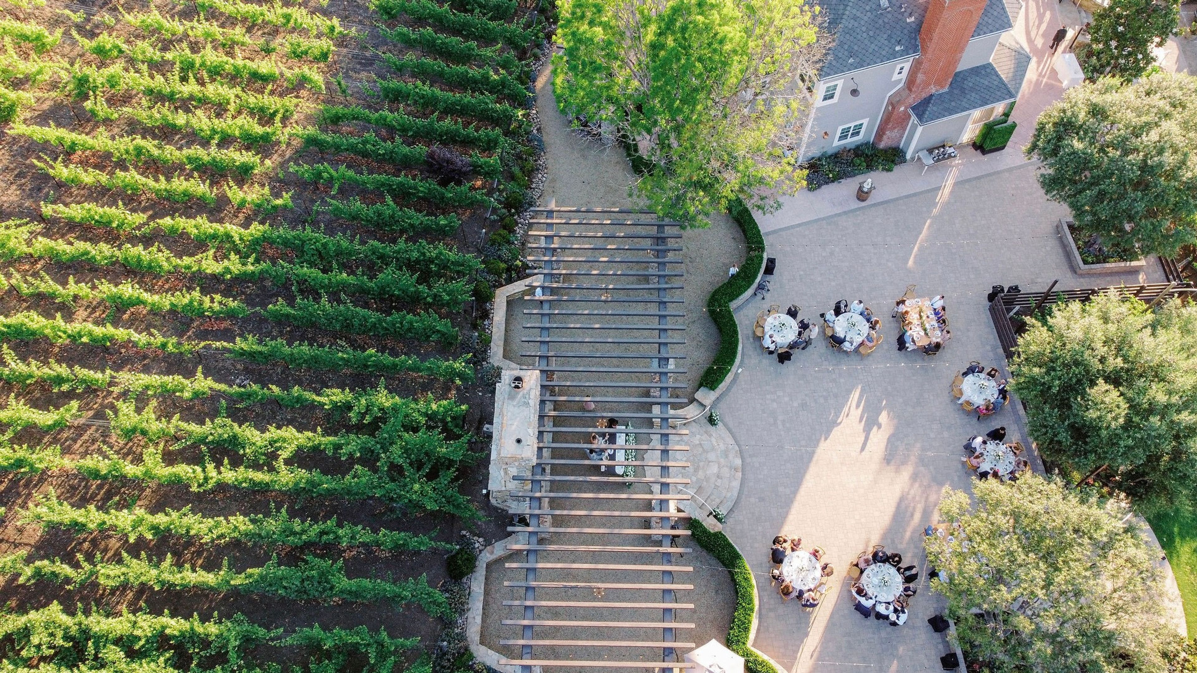 Cover photo of Casi Cielo Vineyards