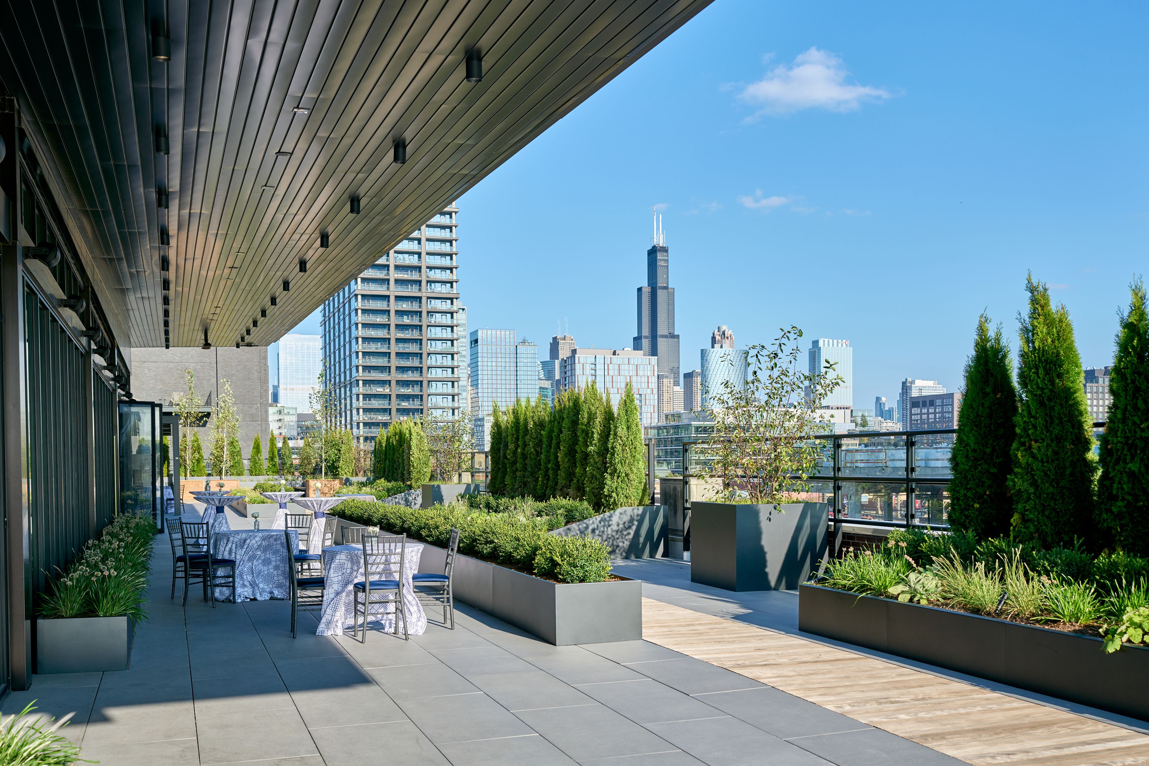 Cover photo of Allium