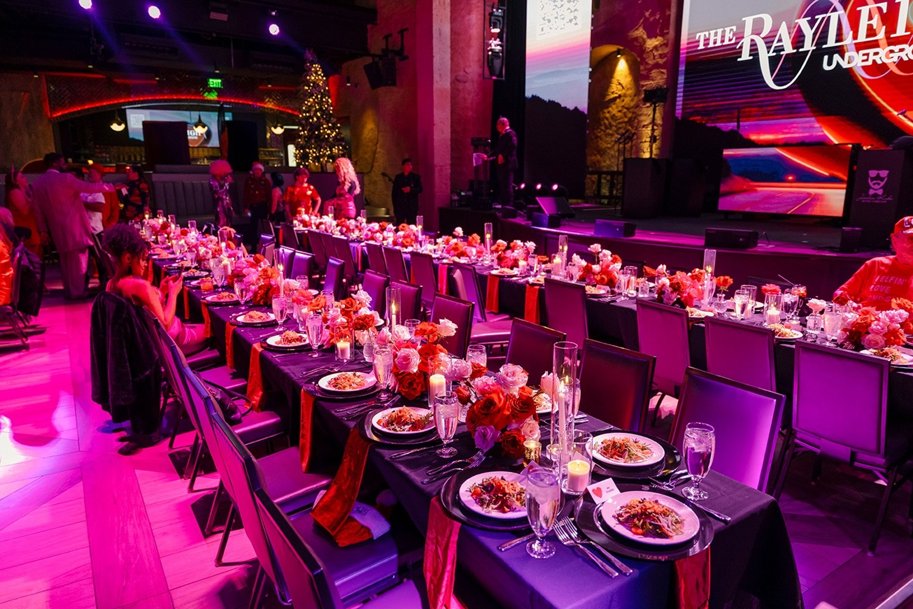 Cover photo of The Rayleigh Underground