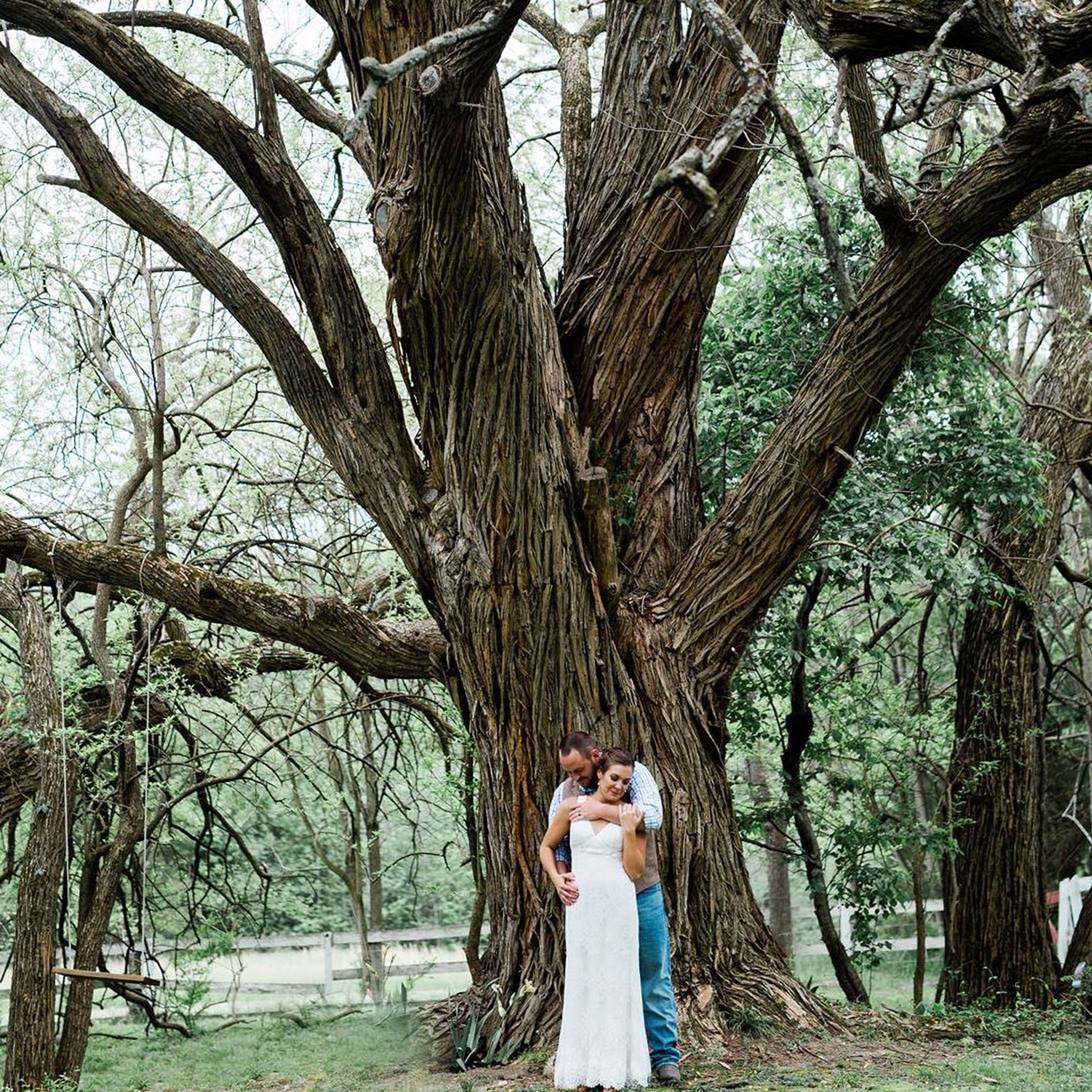 Cover photo of The Estate at White Hall Vineyard