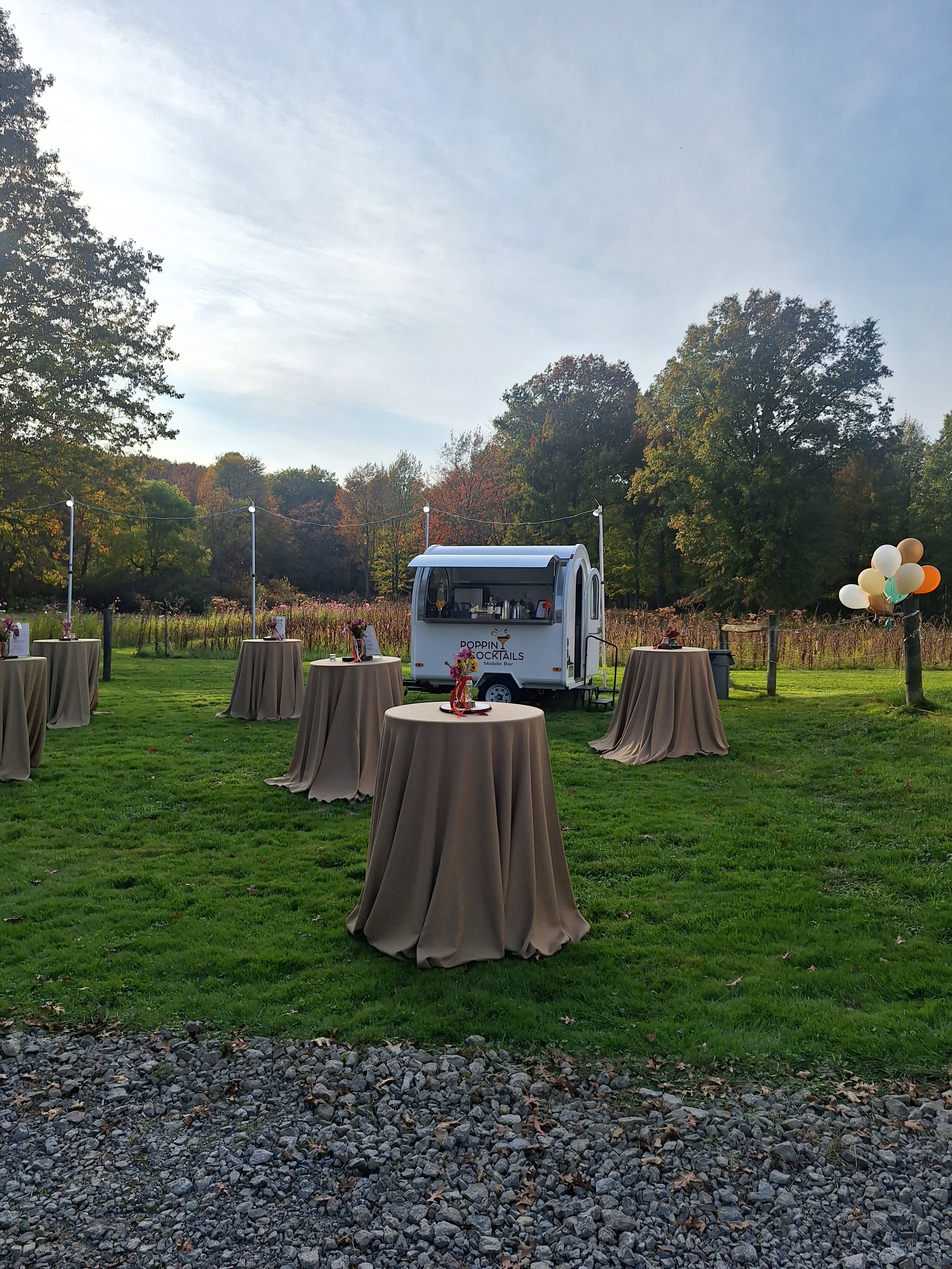 Cover photo of Poppin Cocktails