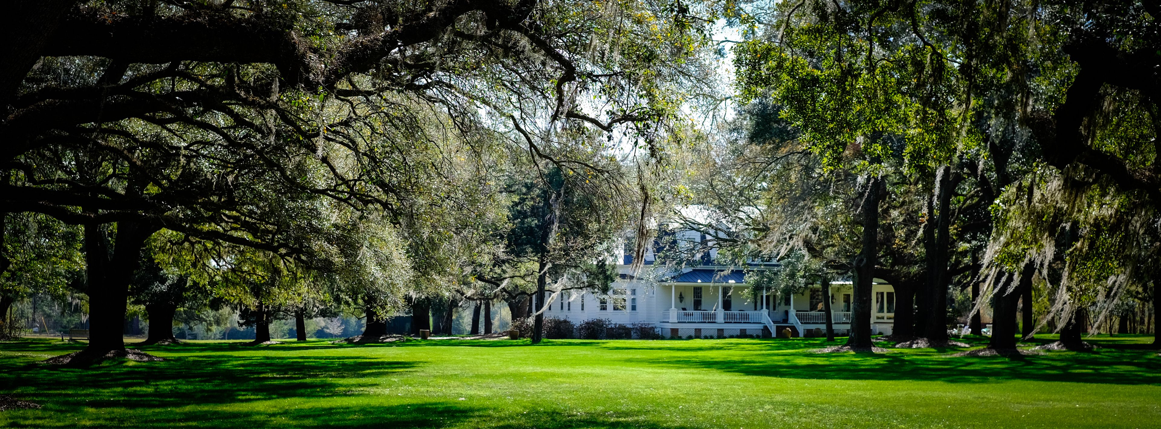 Featured photo from Woodside Plantation