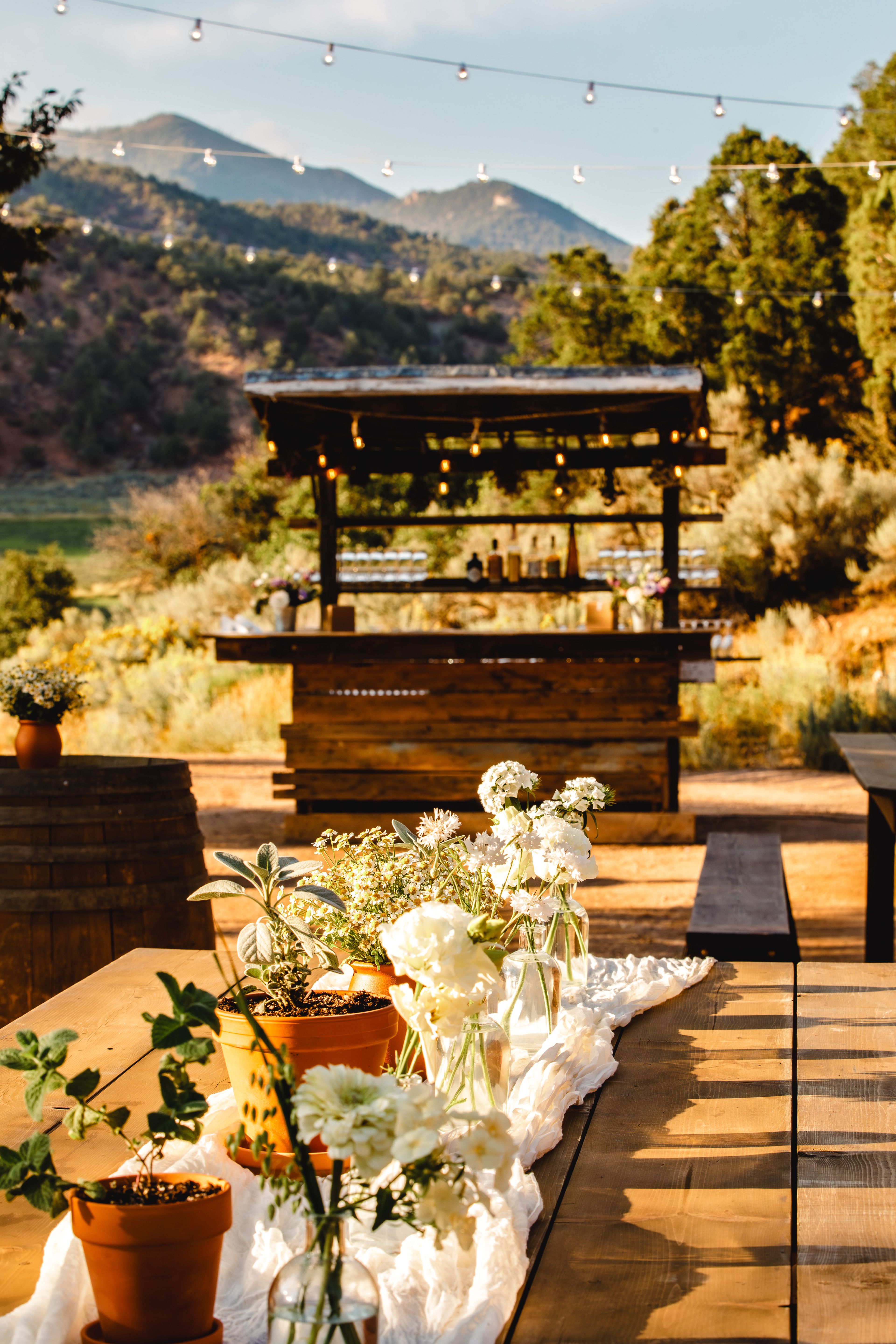 Cover photo of The Farmer & Chef