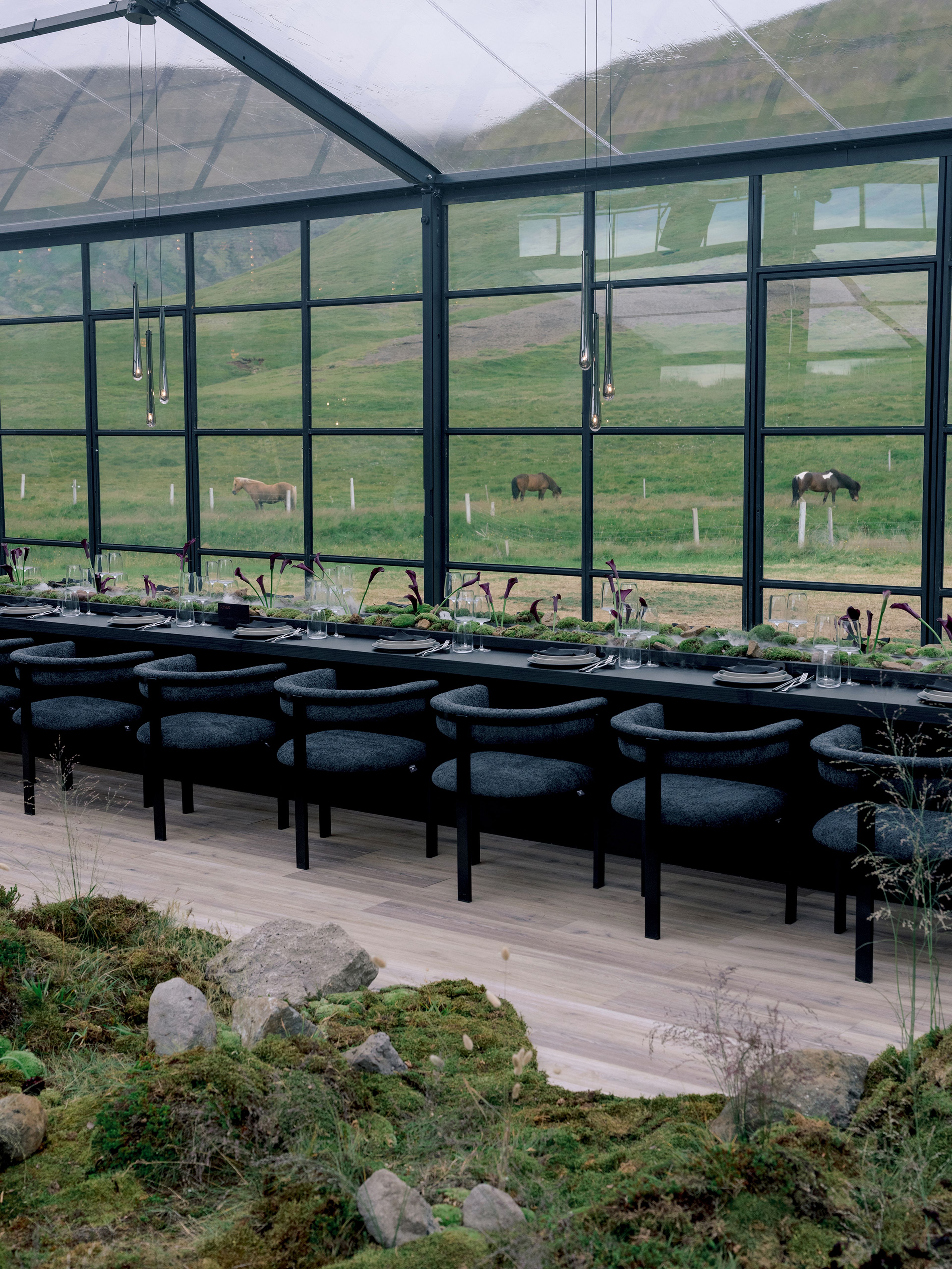 Cover photo of Califano - Destination Event Planner