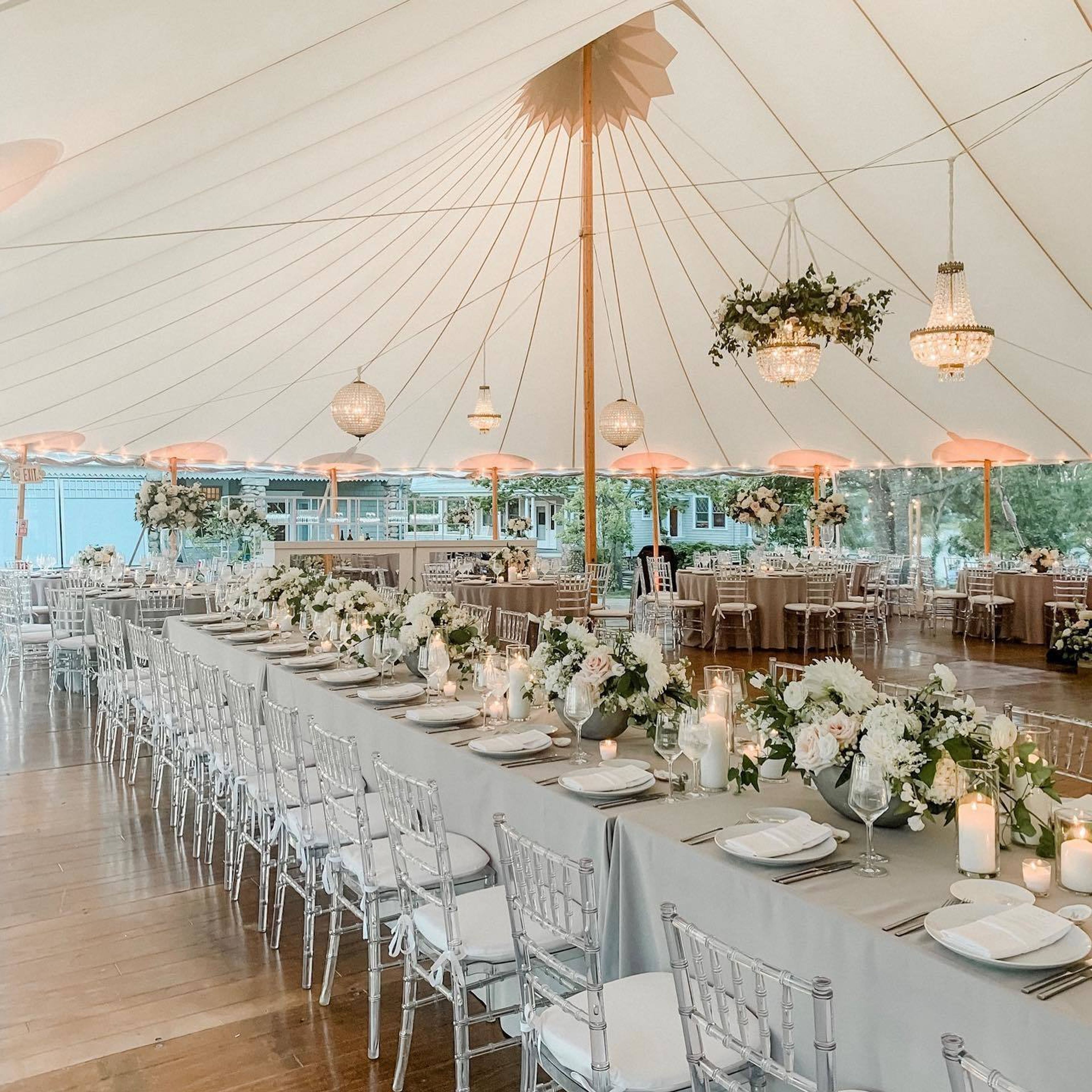 Cover photo of The Wild Dahlia