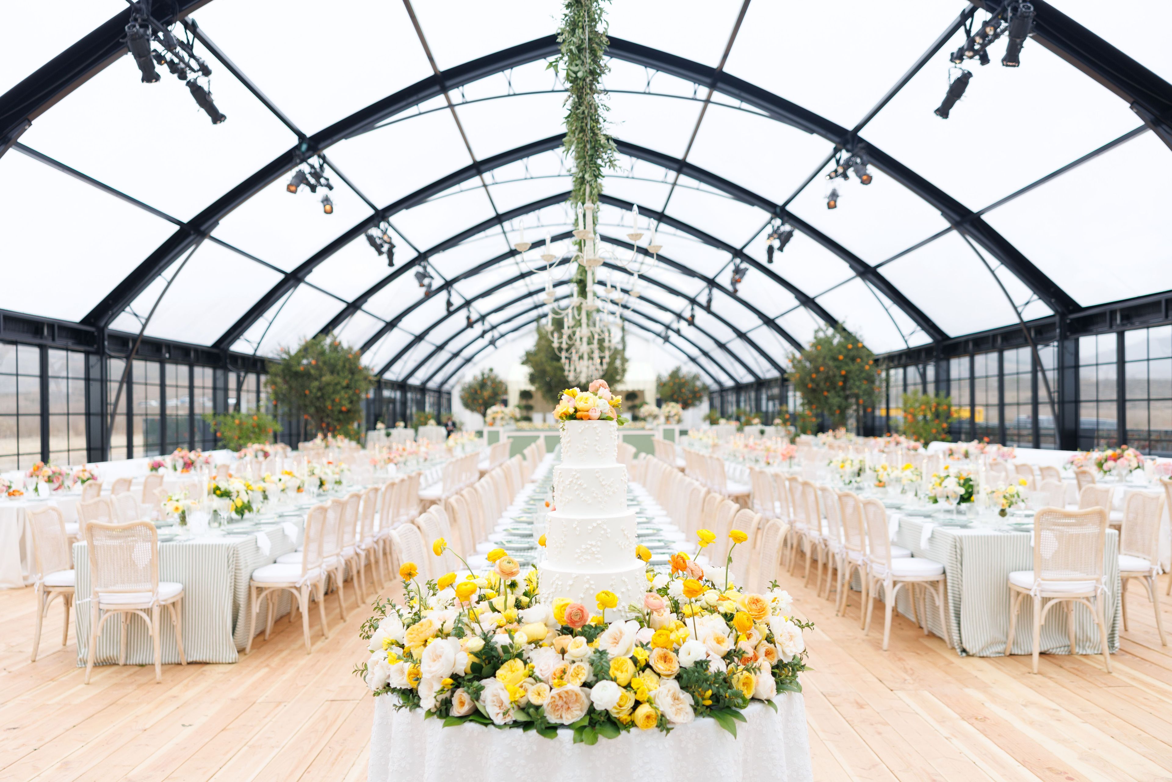 Cover photo of Town & Country Event Rentals