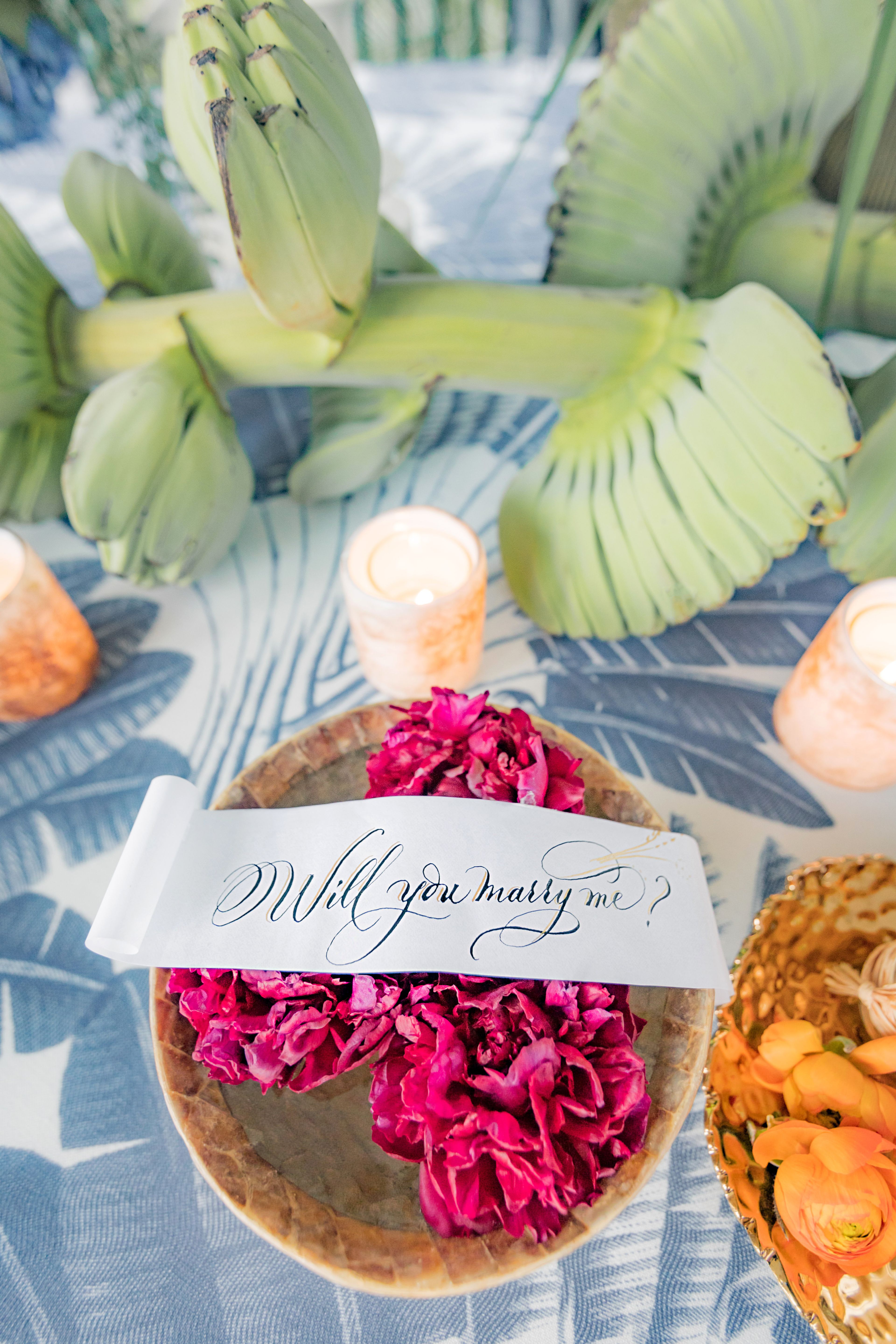 Cover photo of Carla Hagan Calligraphy and Design