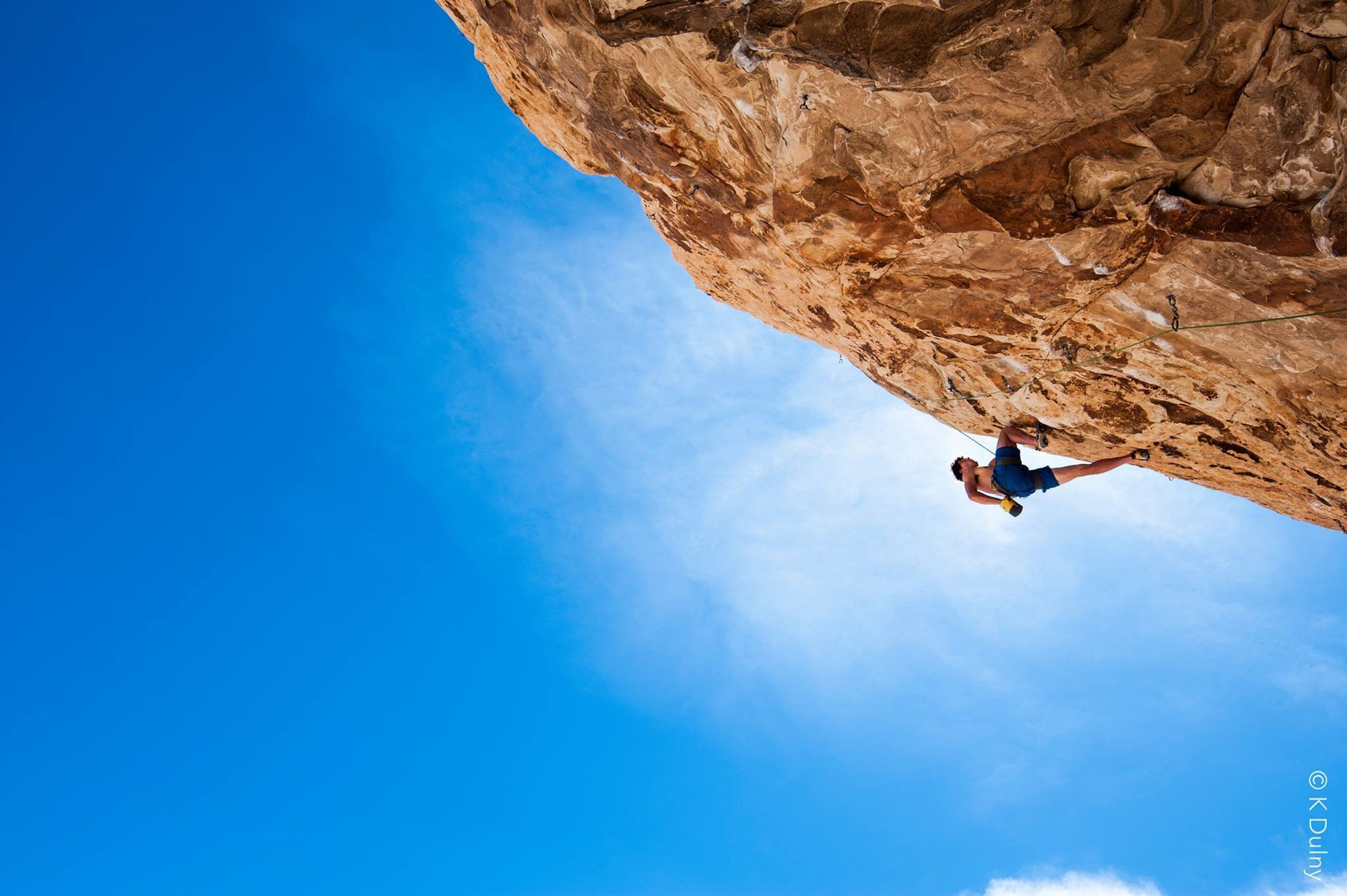 Cover photo of K Dulny Photography