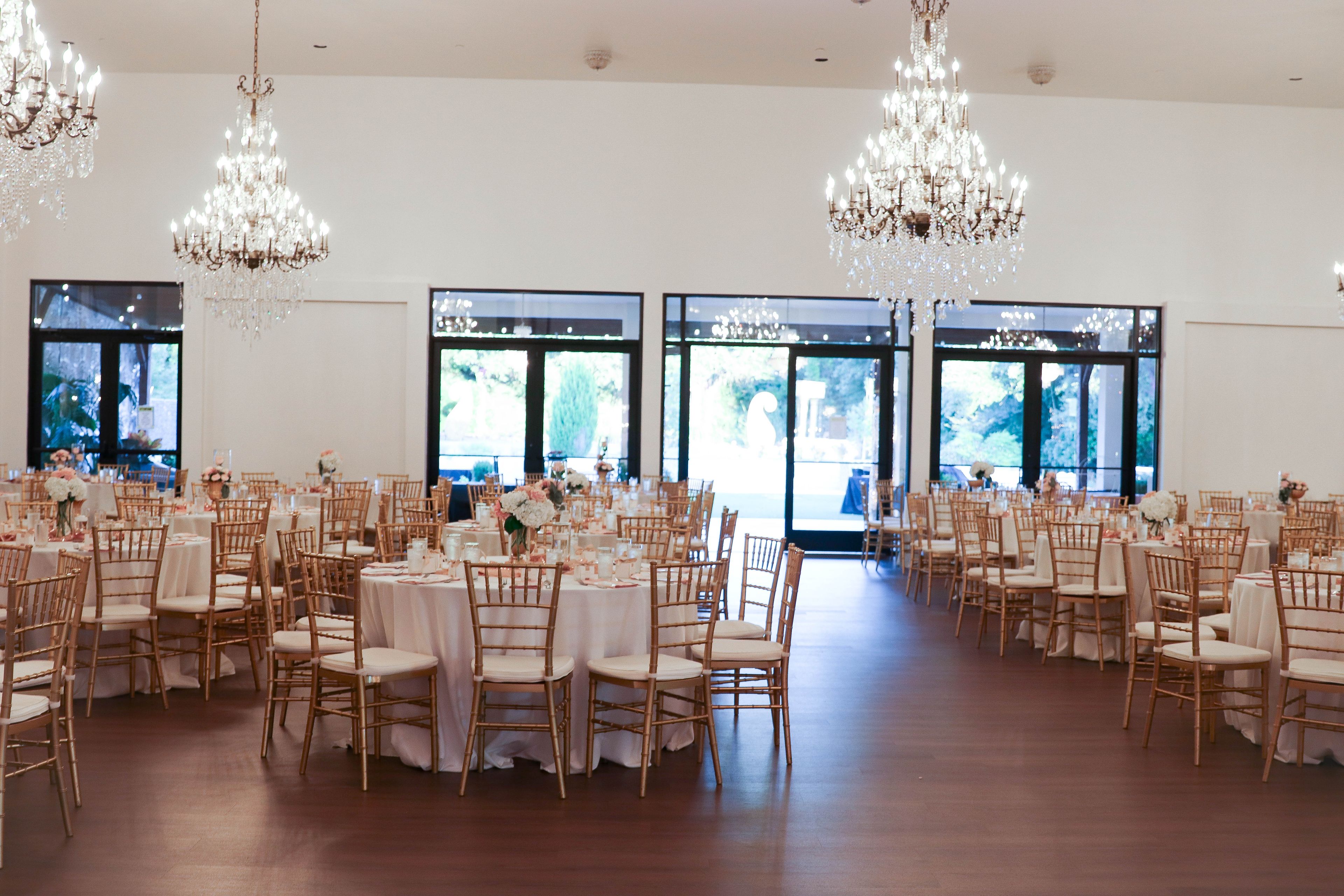 Cover photo of Nikita Photography X