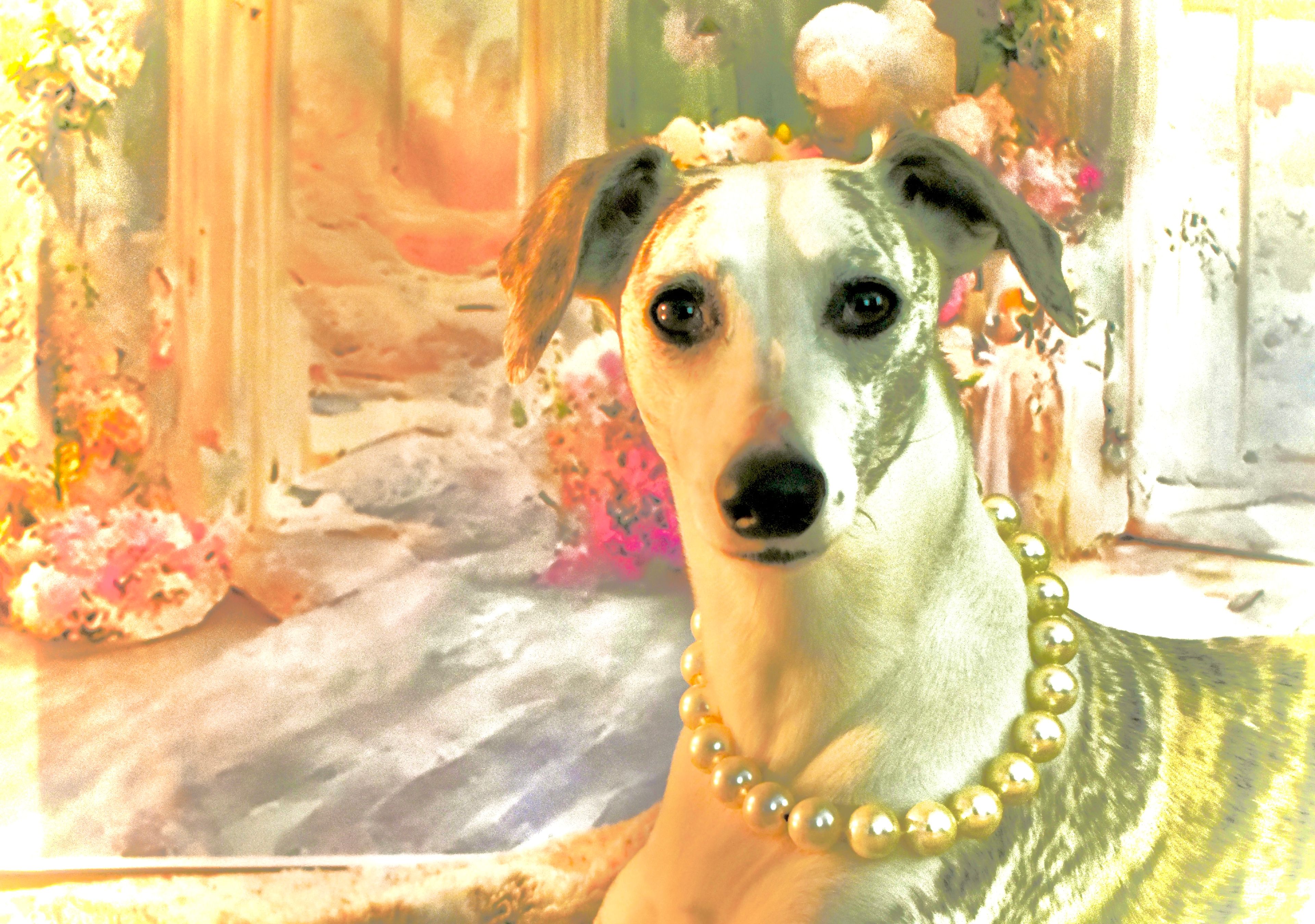 Cover photo of Horse & Hearth