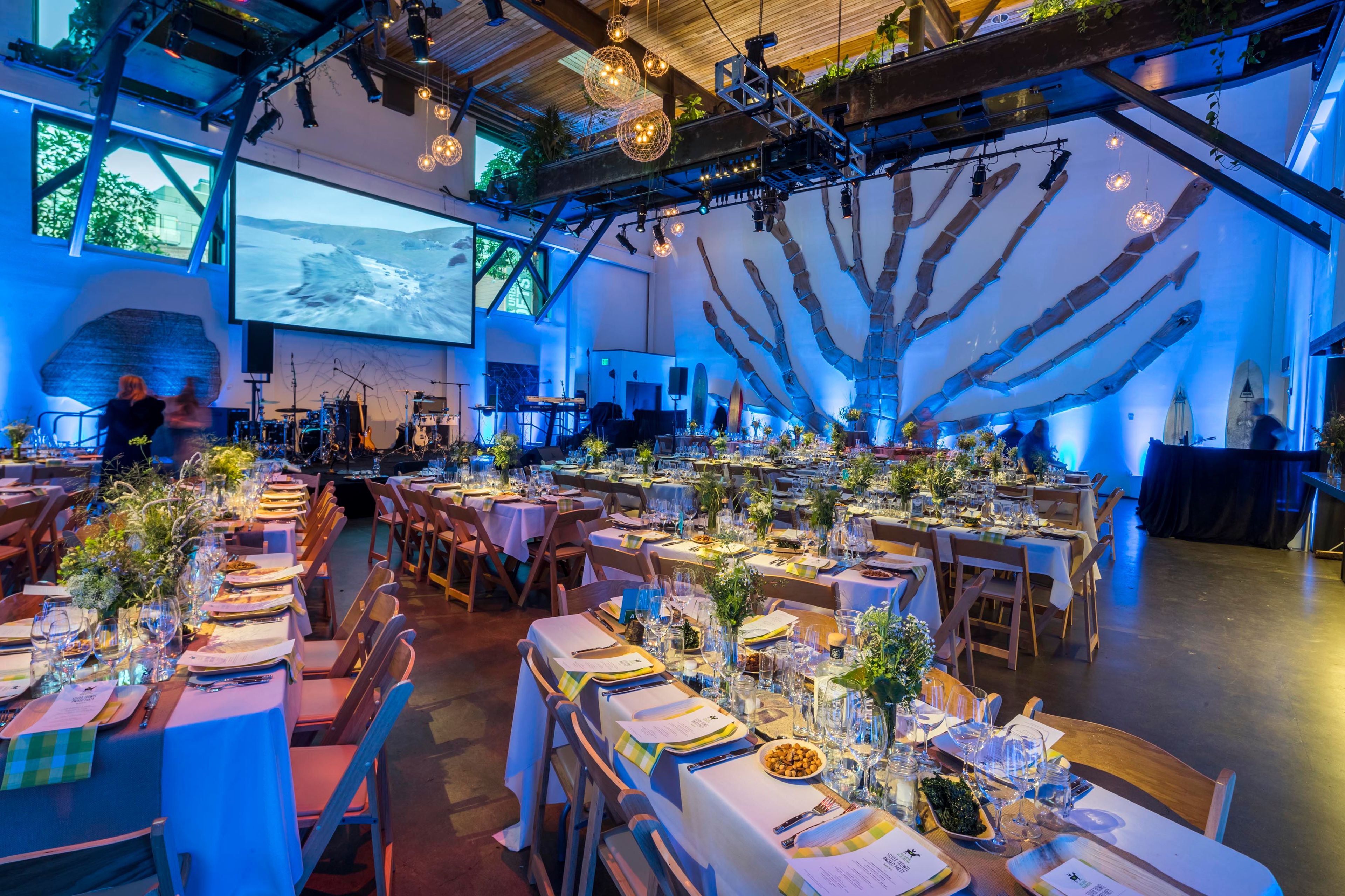 Cover photo of The Pearl