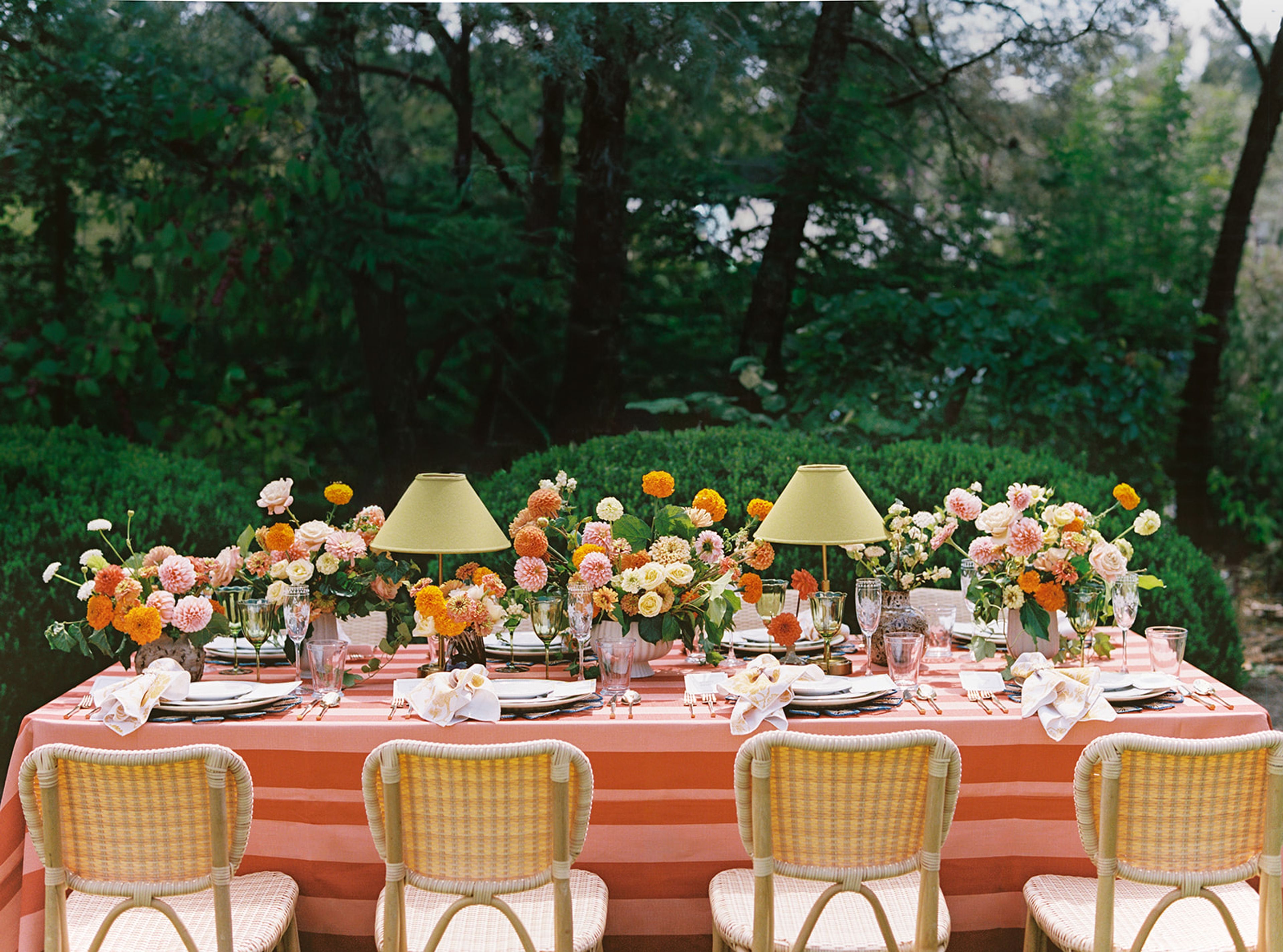 Cover photo of The Rayes Collection