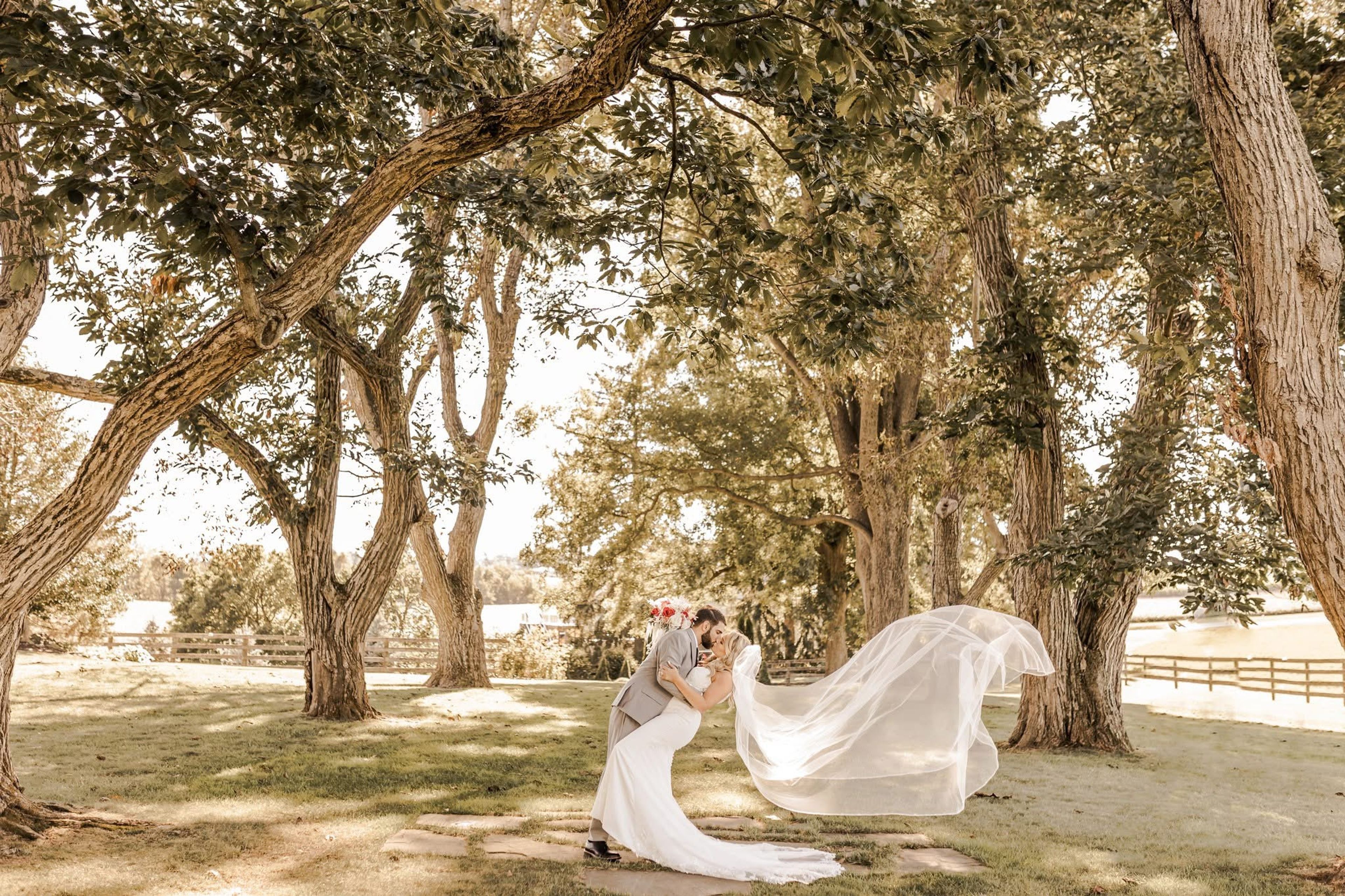 Cover photo of Montagu Meadows Wedding Venue