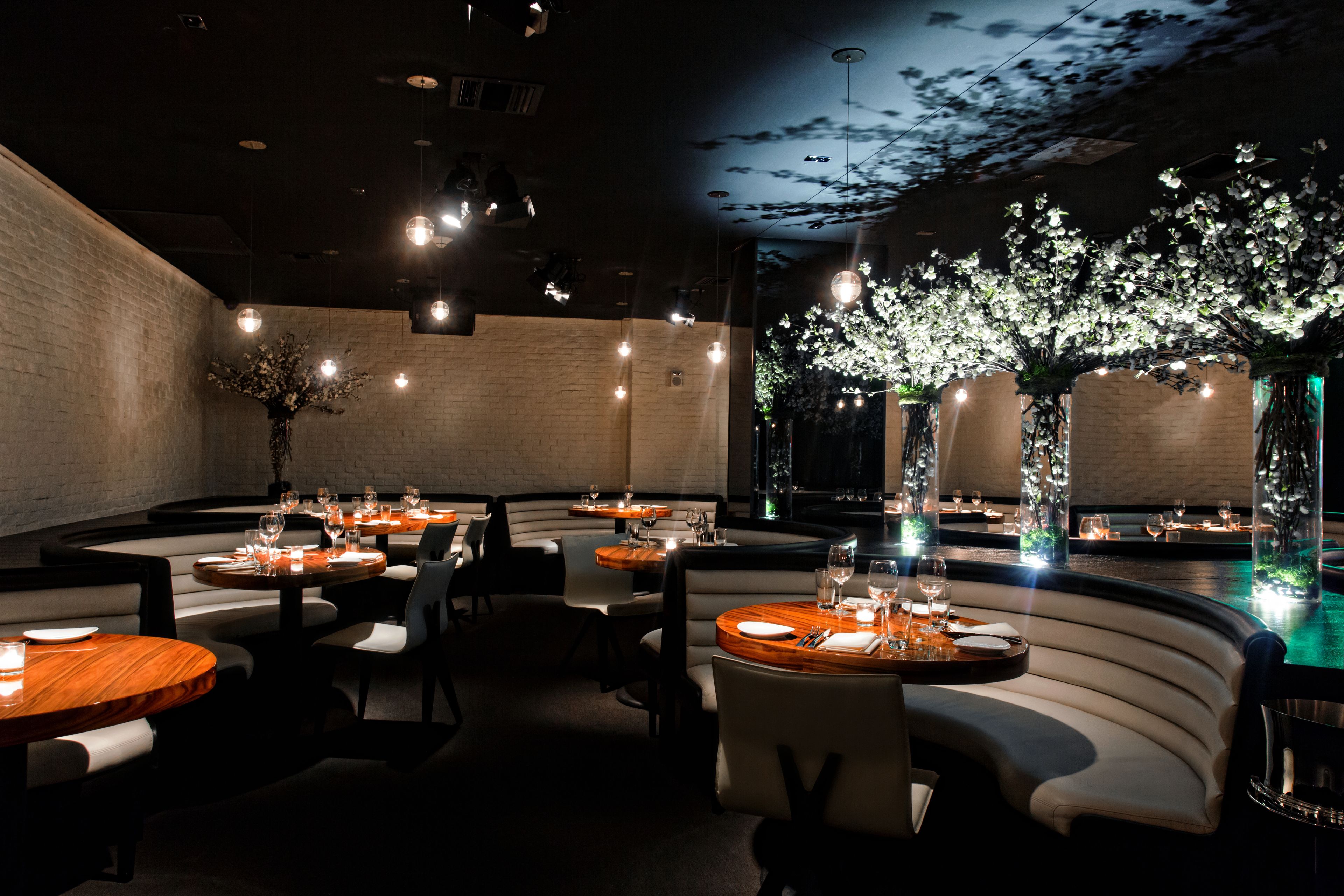 Cover photo of STK South Beach
