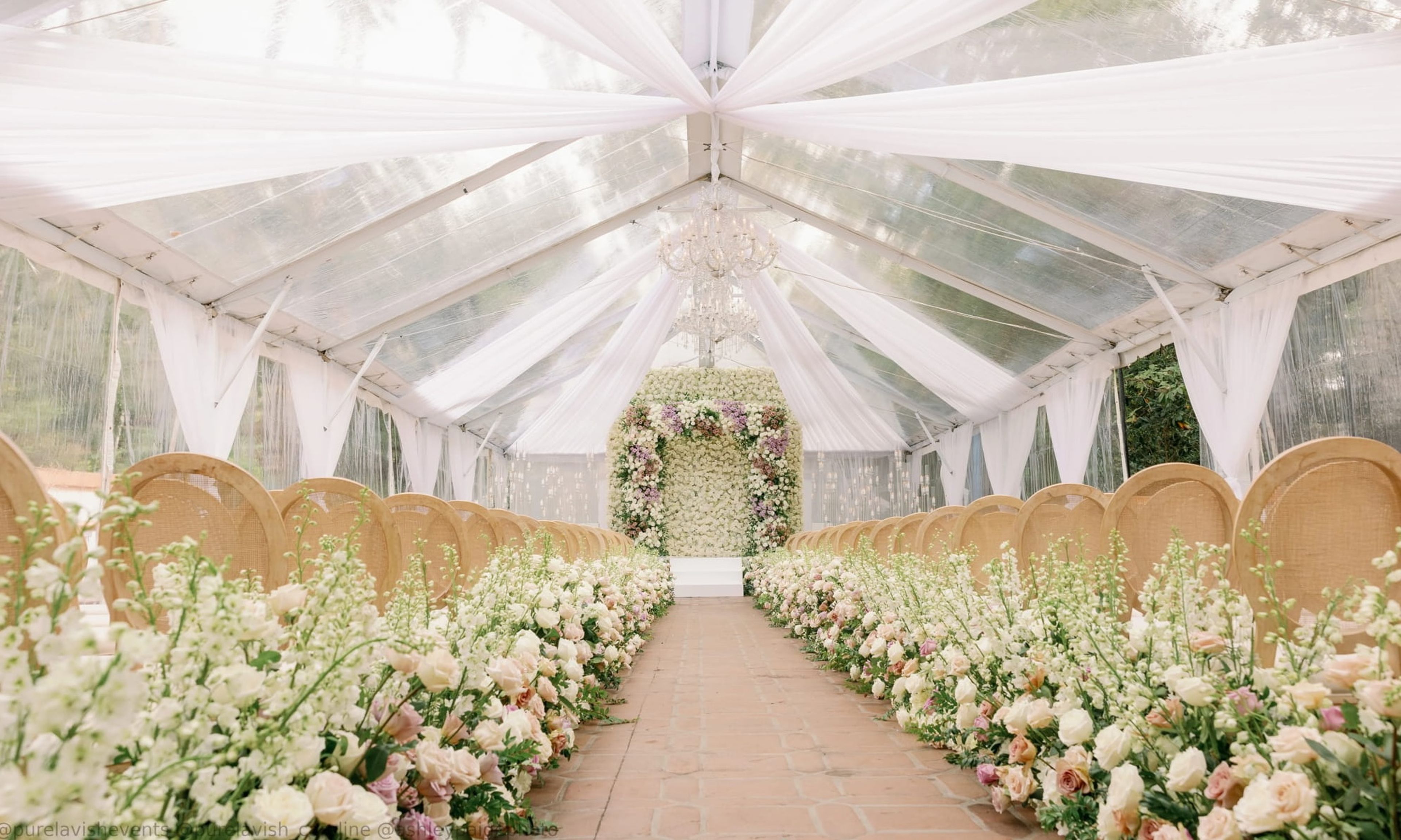 Cover photo of Signature Party Rentals