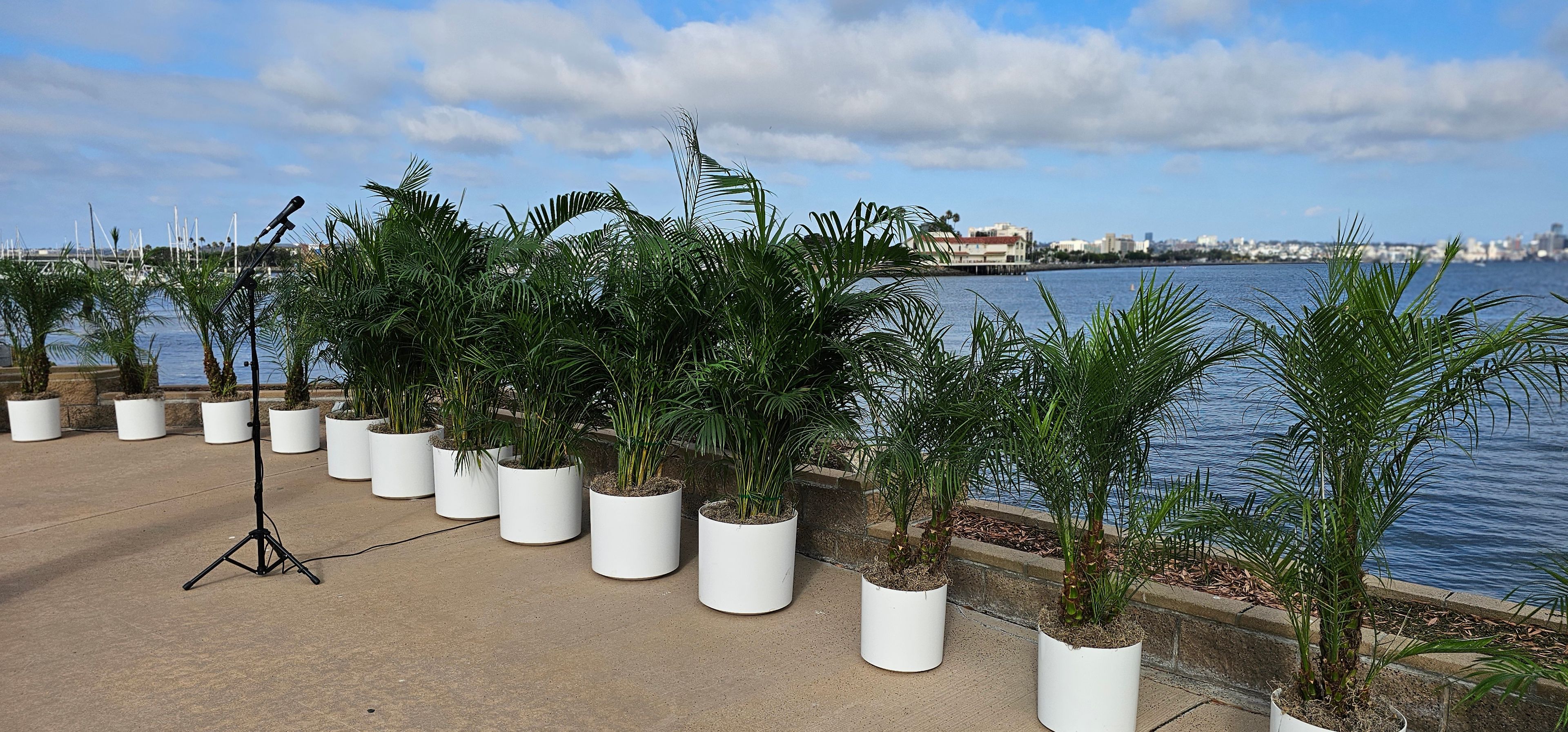 Cover photo of San Diego Plant Rentals