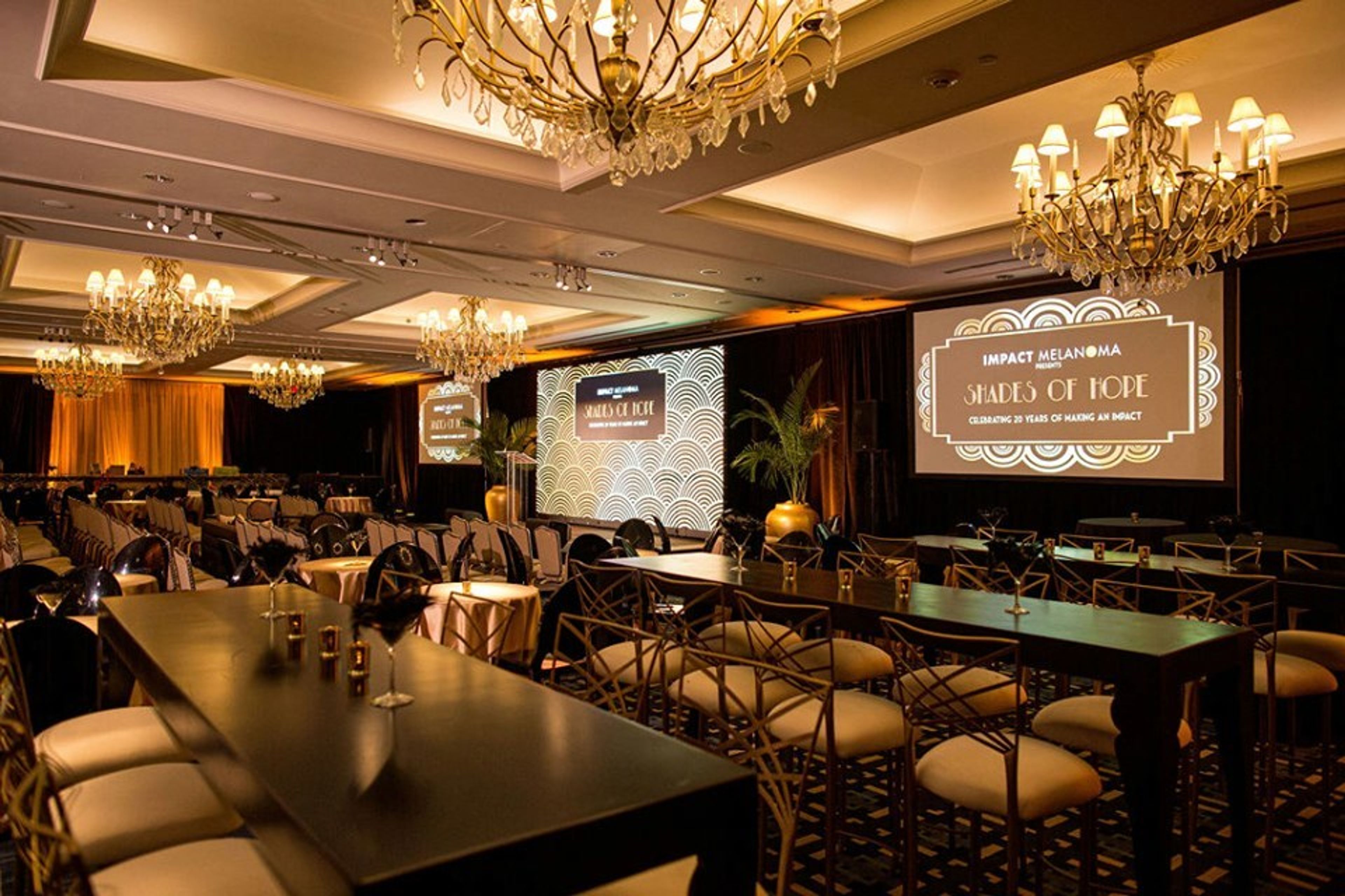 Cover photo of The Colonnade Hotel Boston