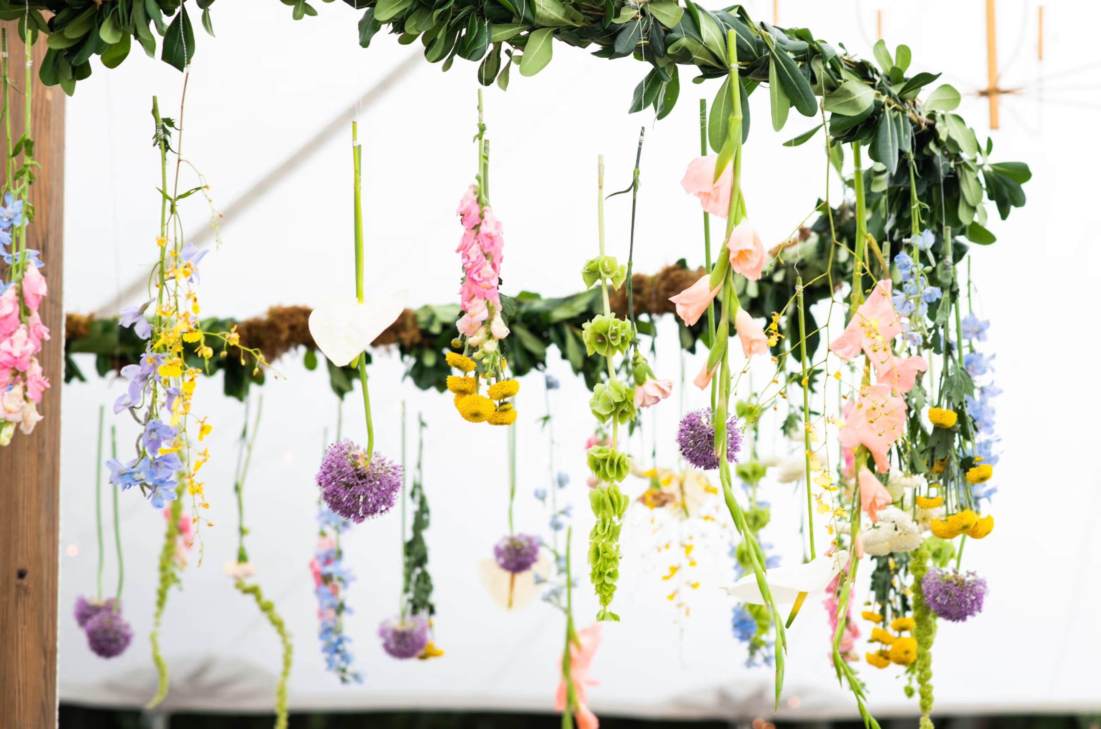 Cover photo of Branch Flower Shop