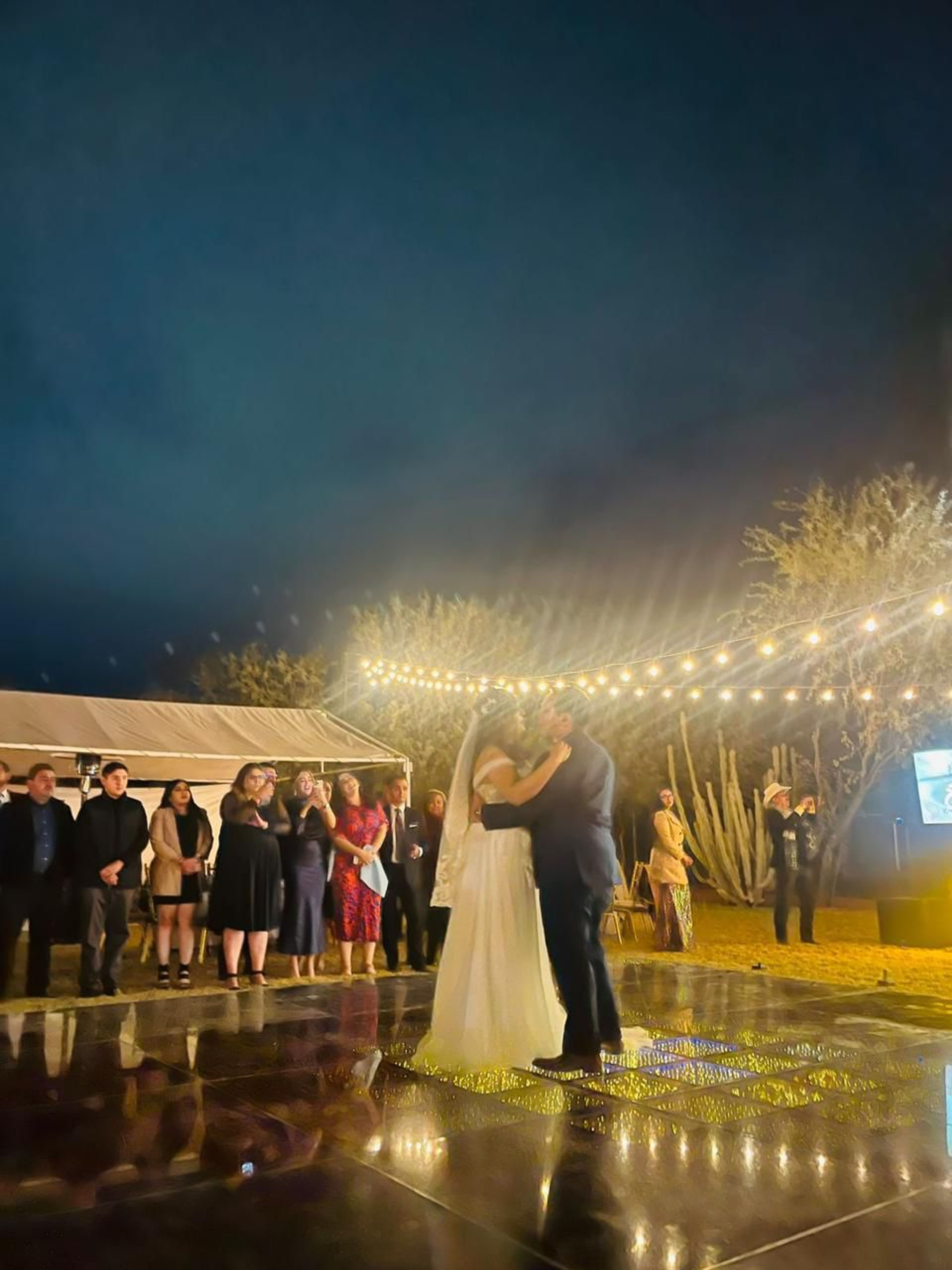 Cover photo of Jardin Number 1