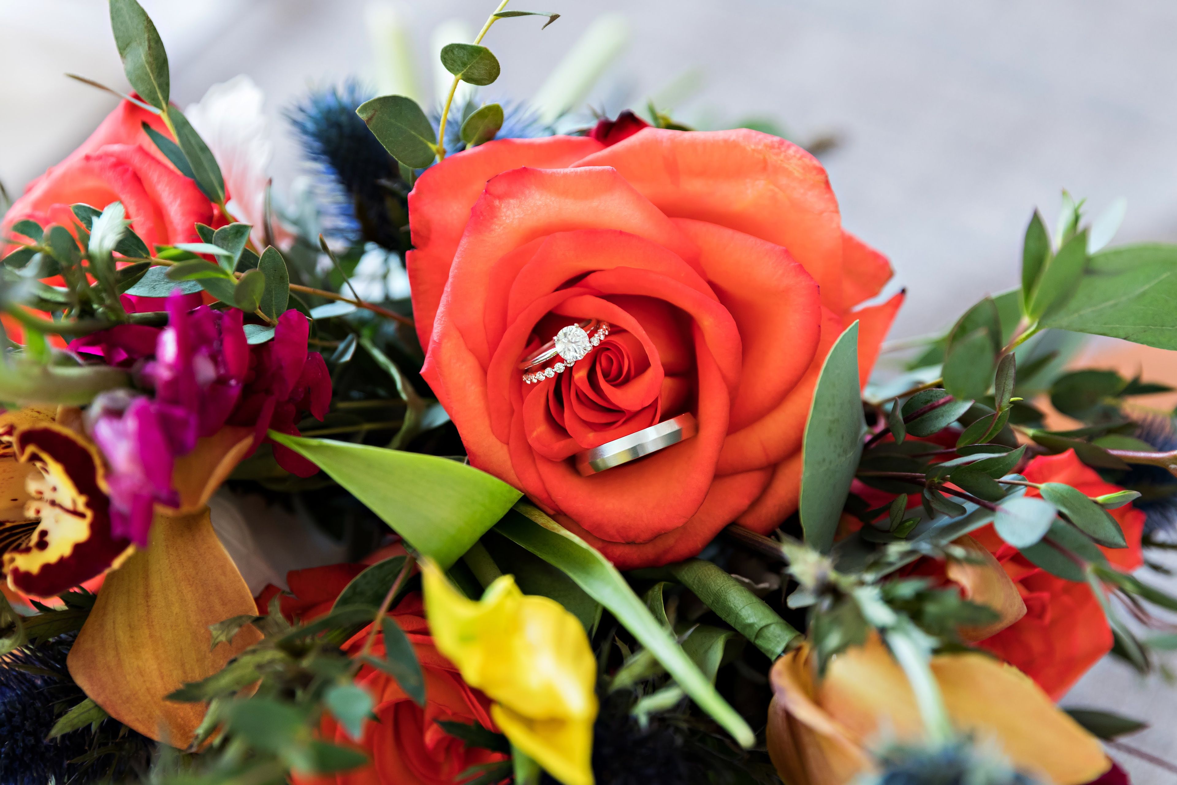 Cover photo of Allyson Penman Coordination