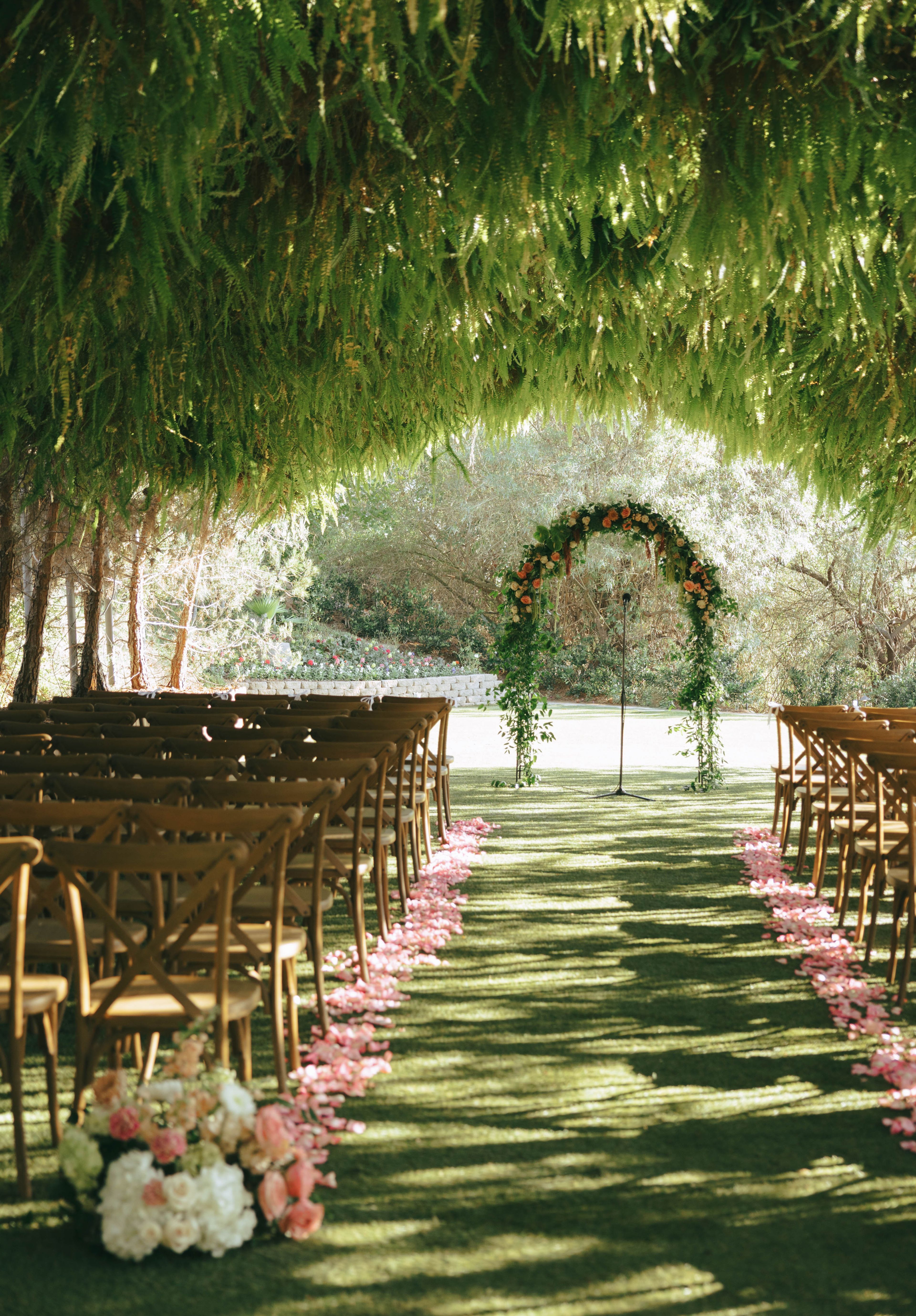 Cover photo of Rogue Petals