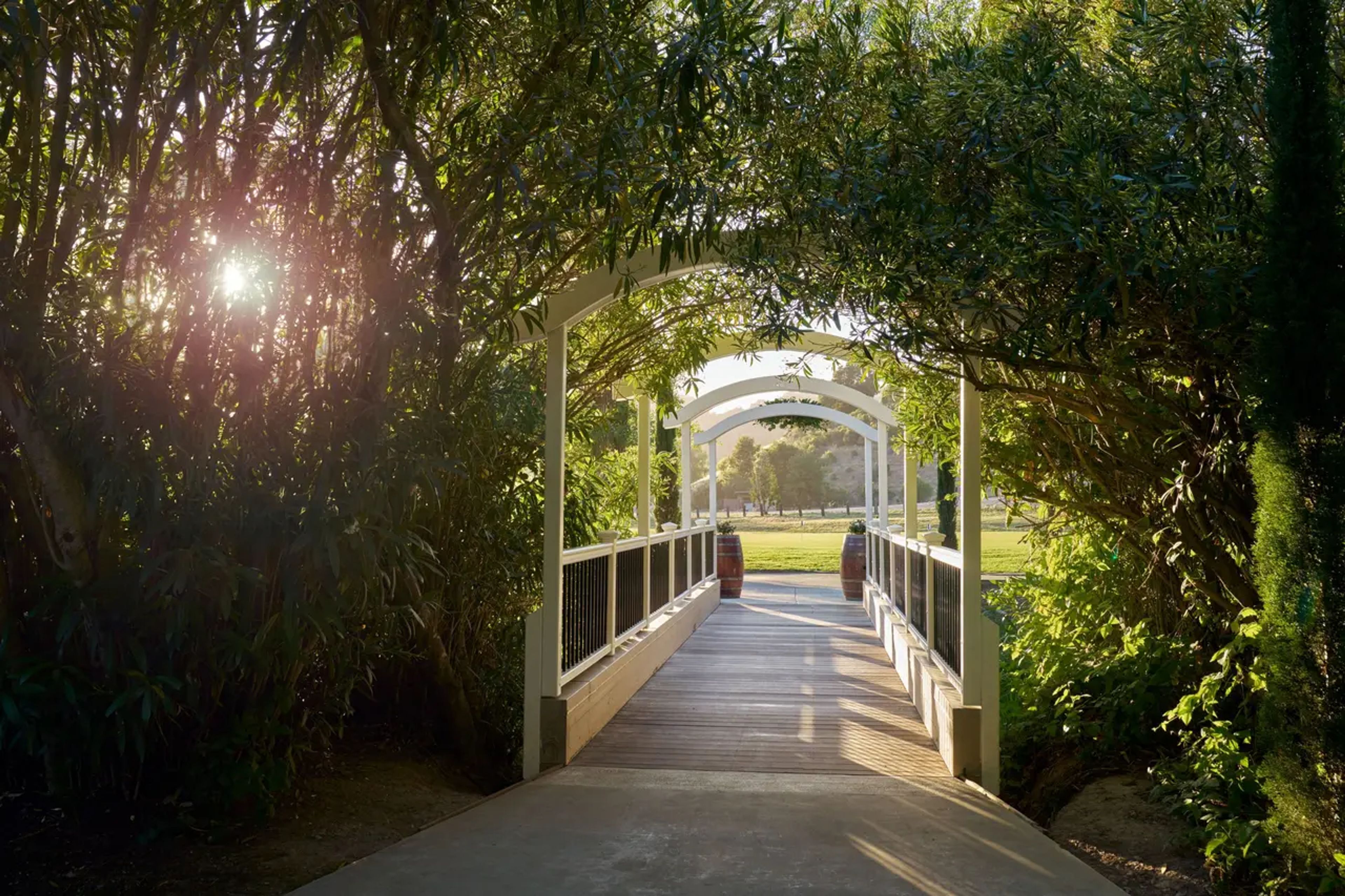 Cover photo of Redwood Canyon by Wedgewood Weddings