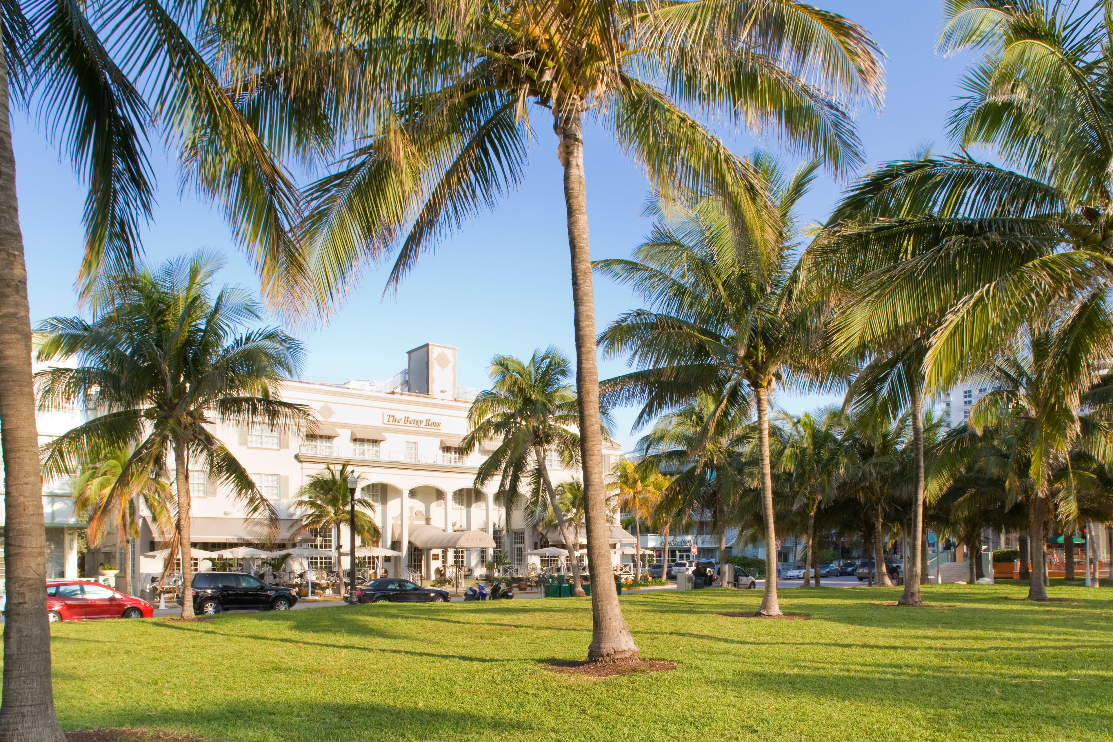 Cover photo of The Betsy Hotel