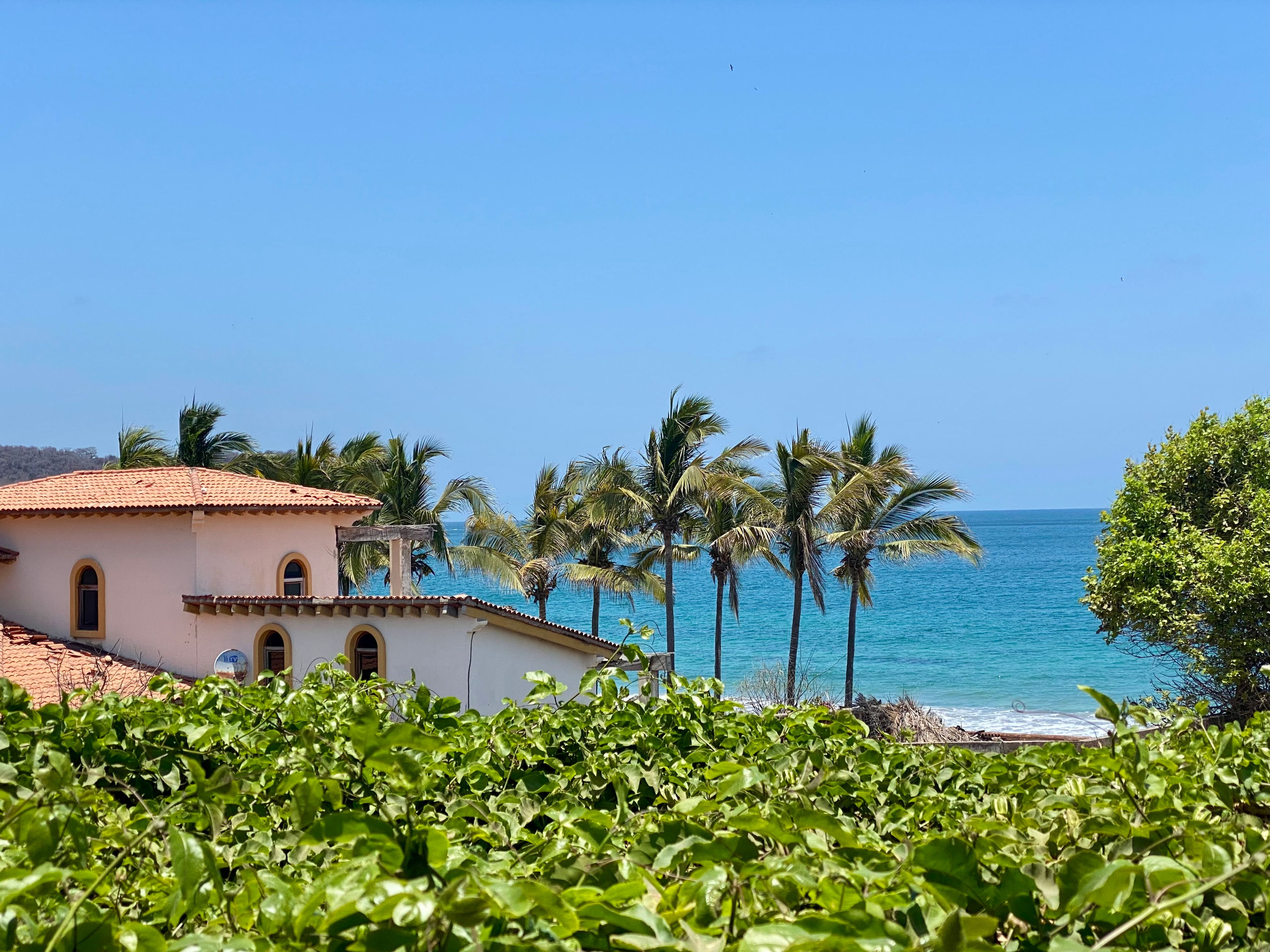 Cover photo of Summer Salt