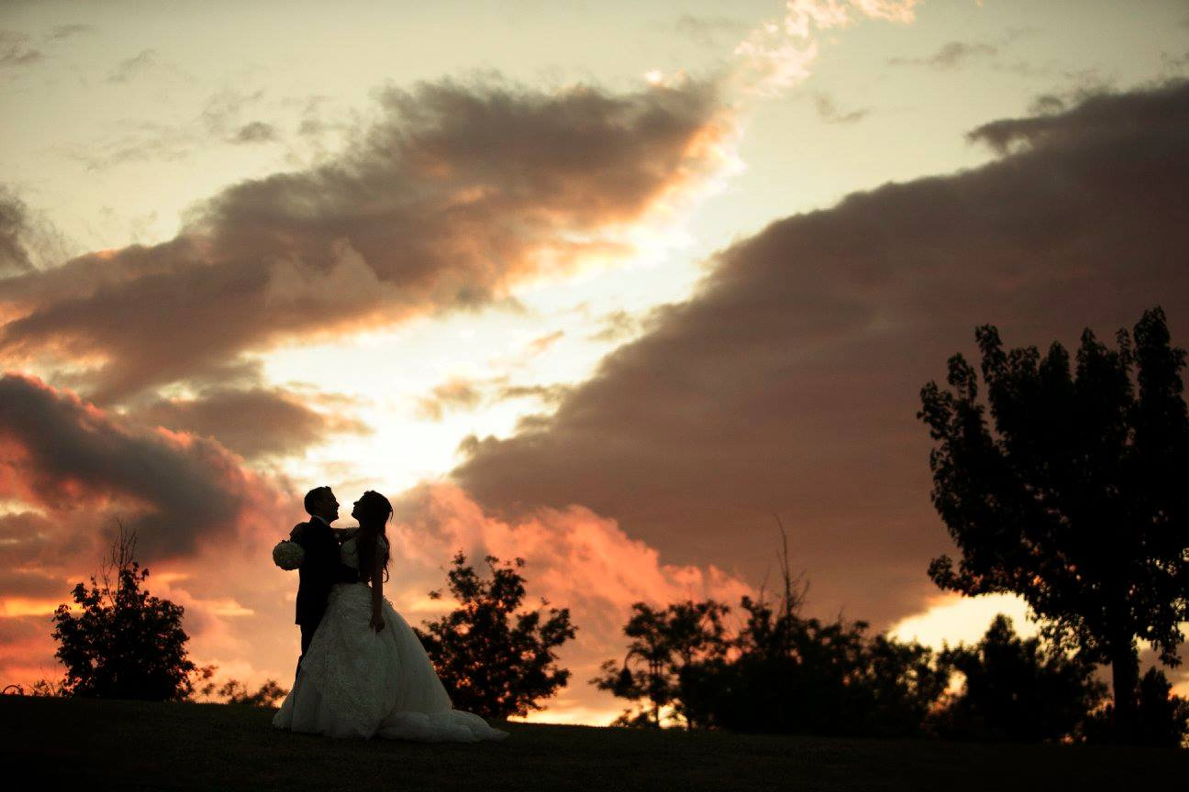 Cover photo of Ville Carborello