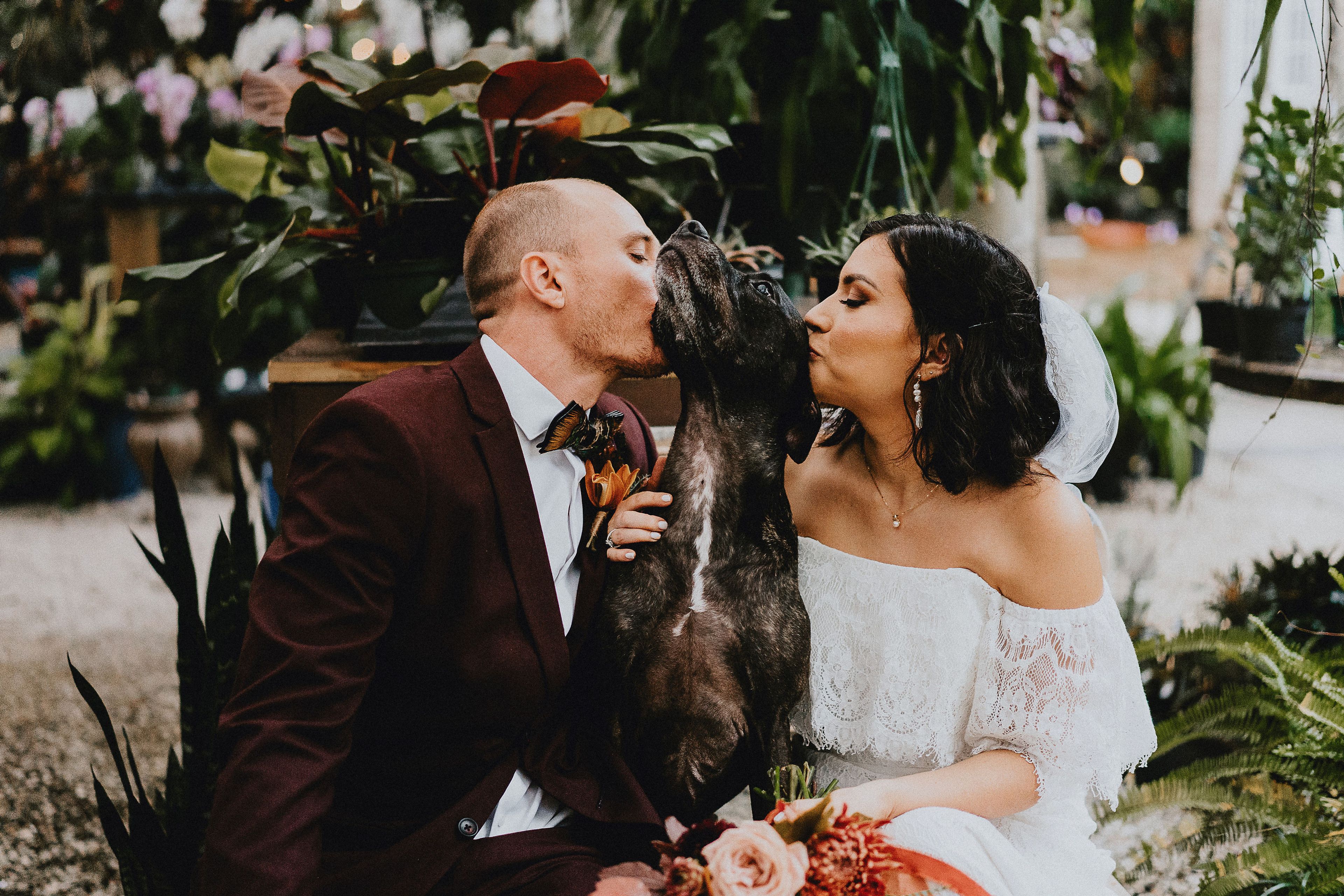 Cover photo of Light Sky Photography