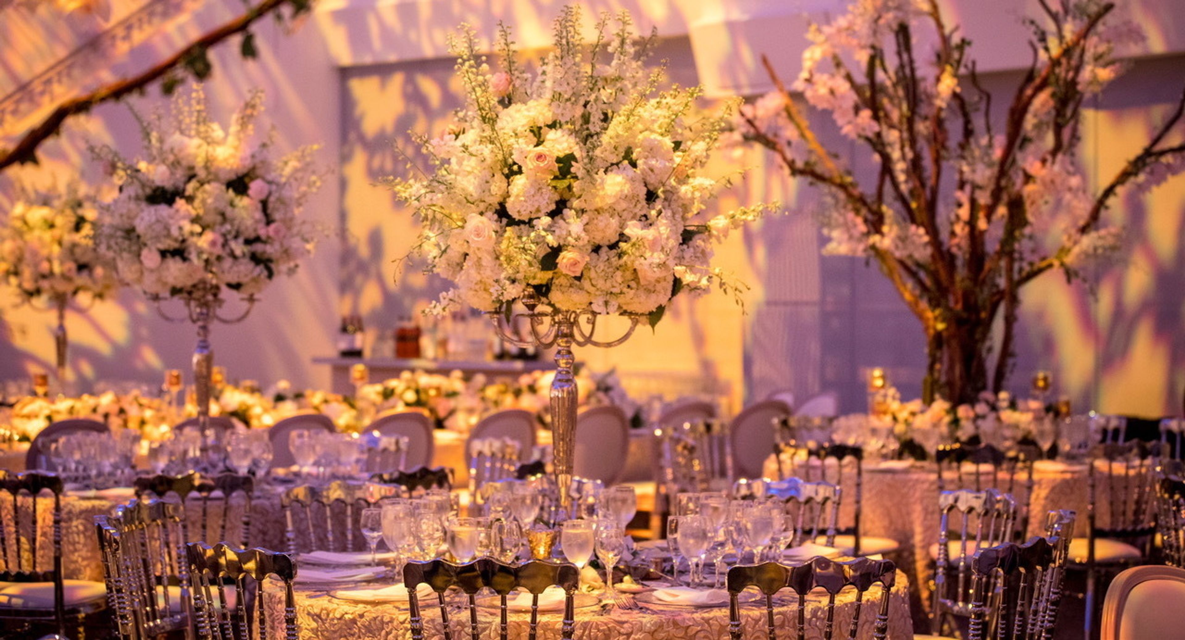 Cover photo of Blumberg Events