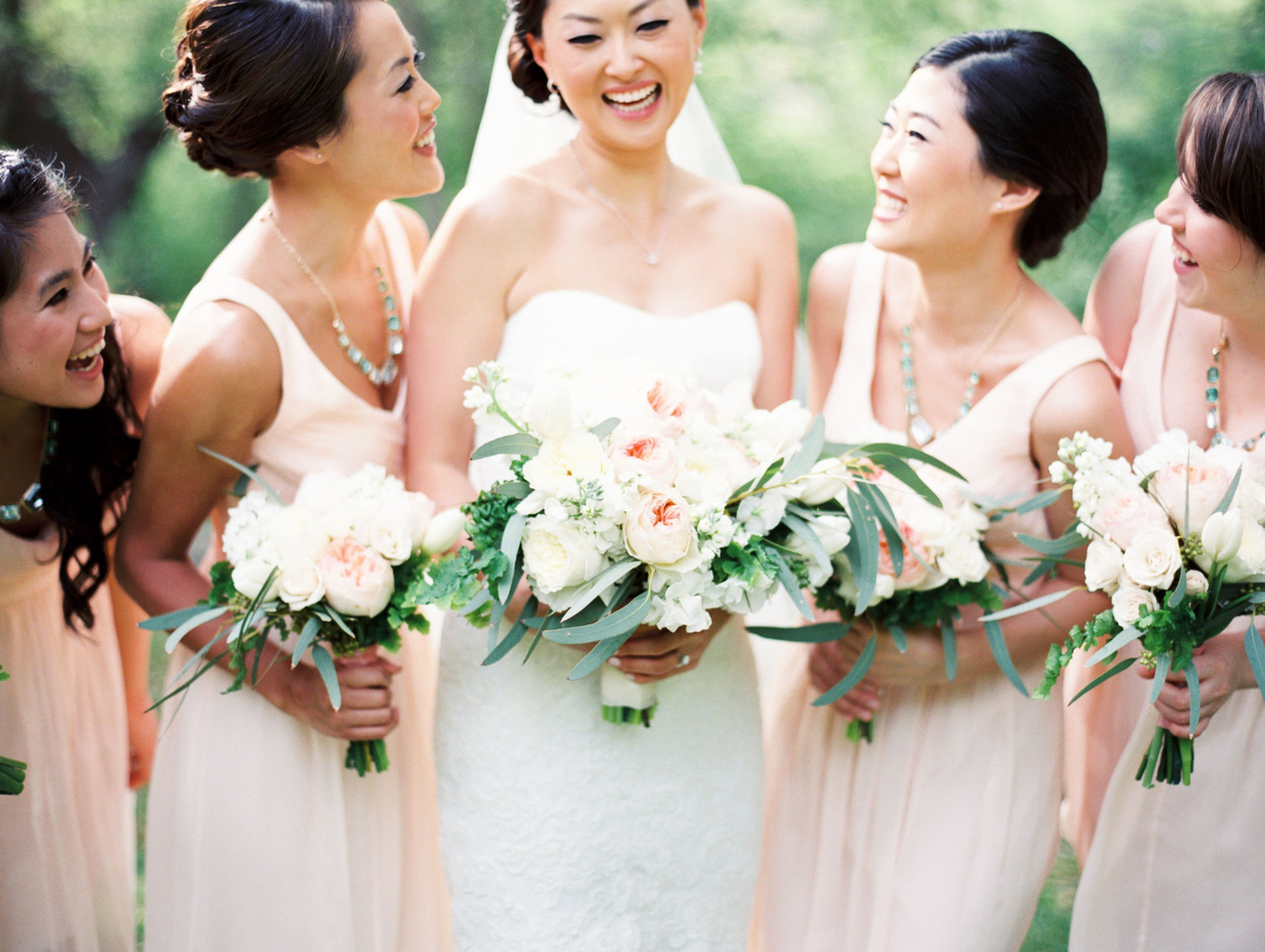 Cover photo of Wild Poppy