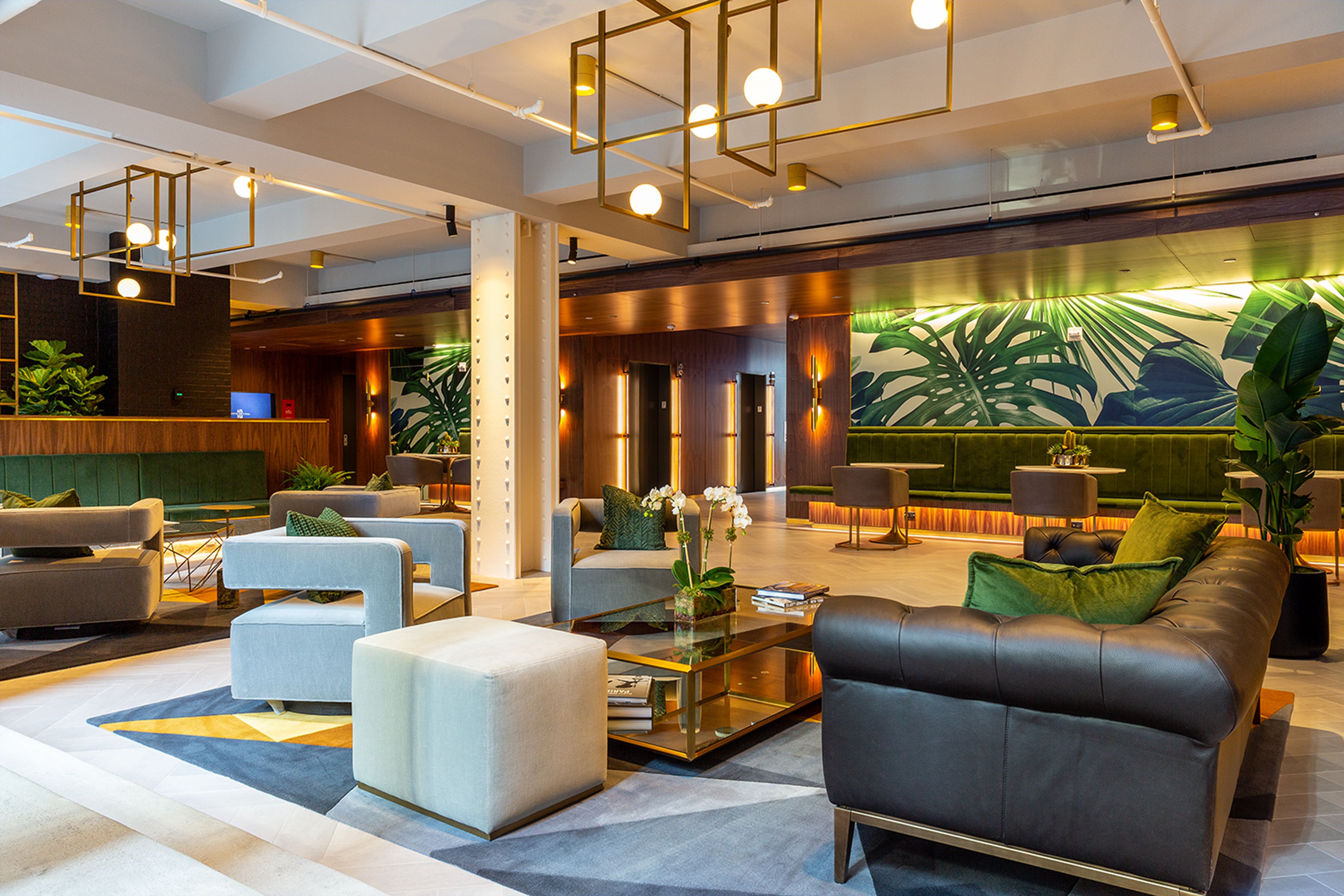 Cover photo of Ivy Terrace