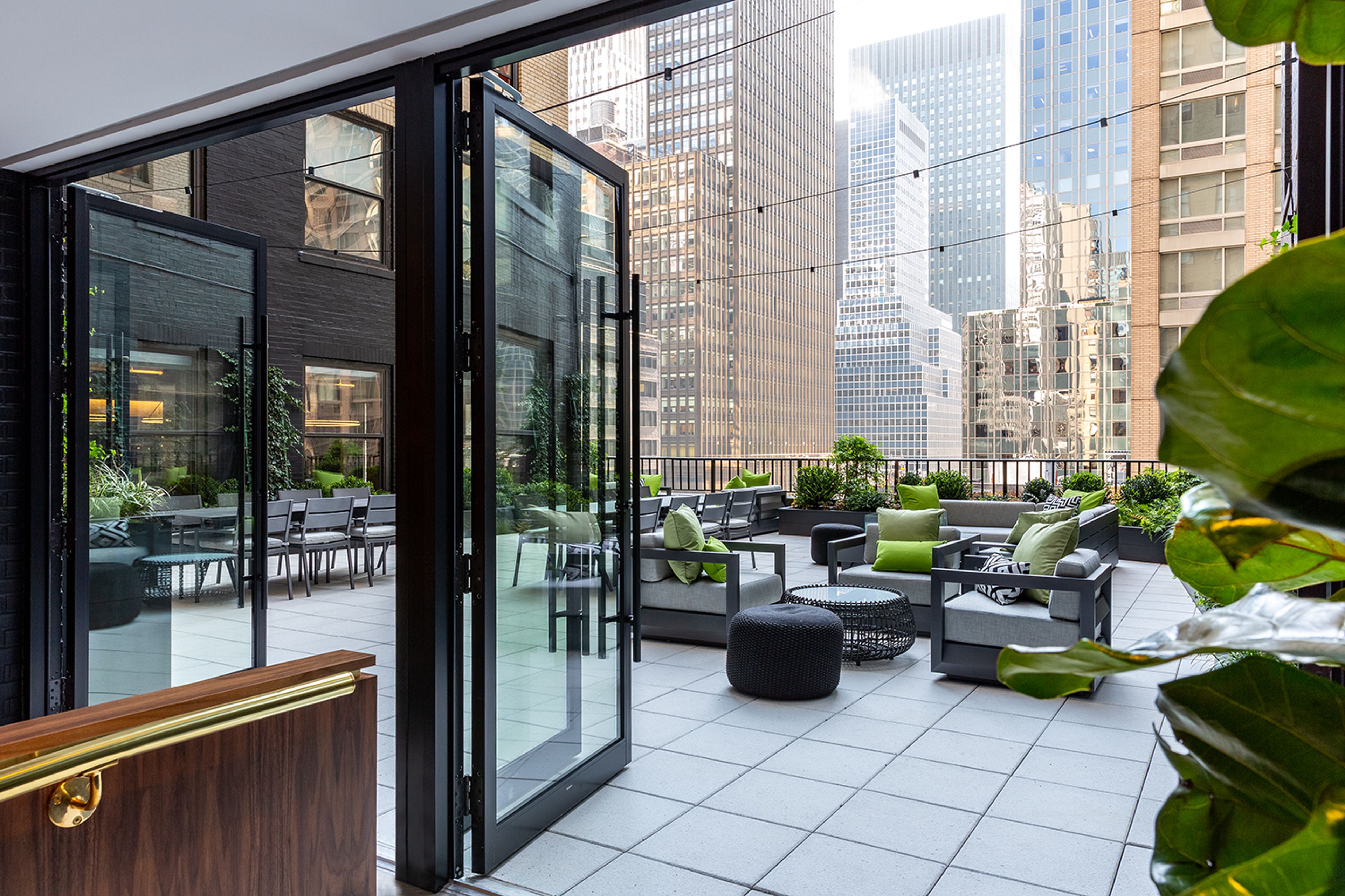 Cover photo of Ivy Terrace