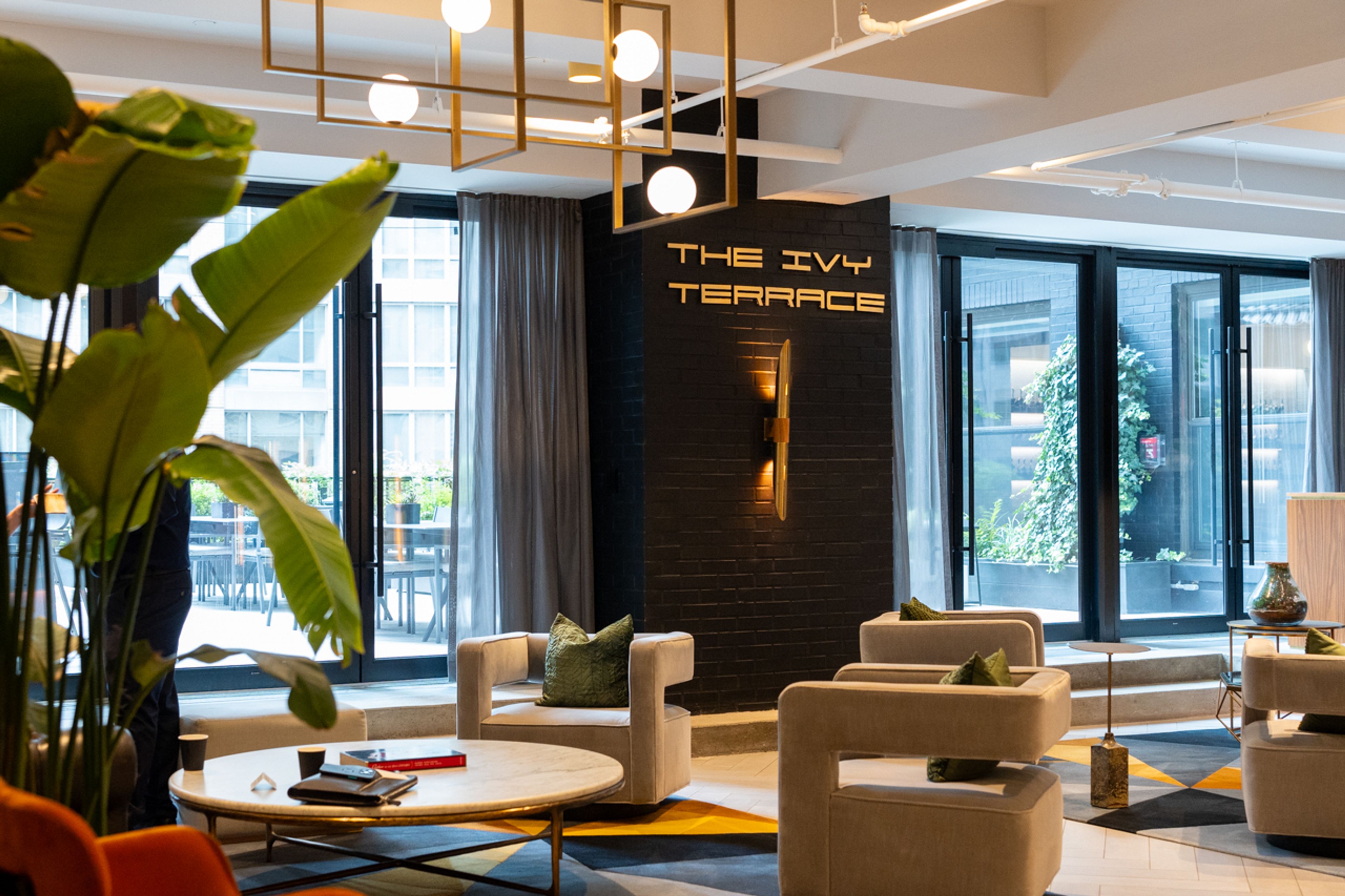 Cover photo of Ivy Terrace